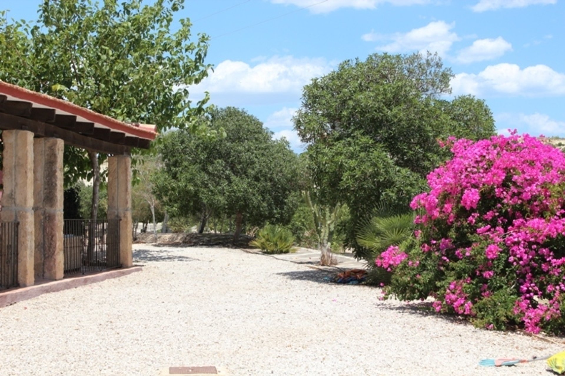 Resale - Country Property -
Alicante