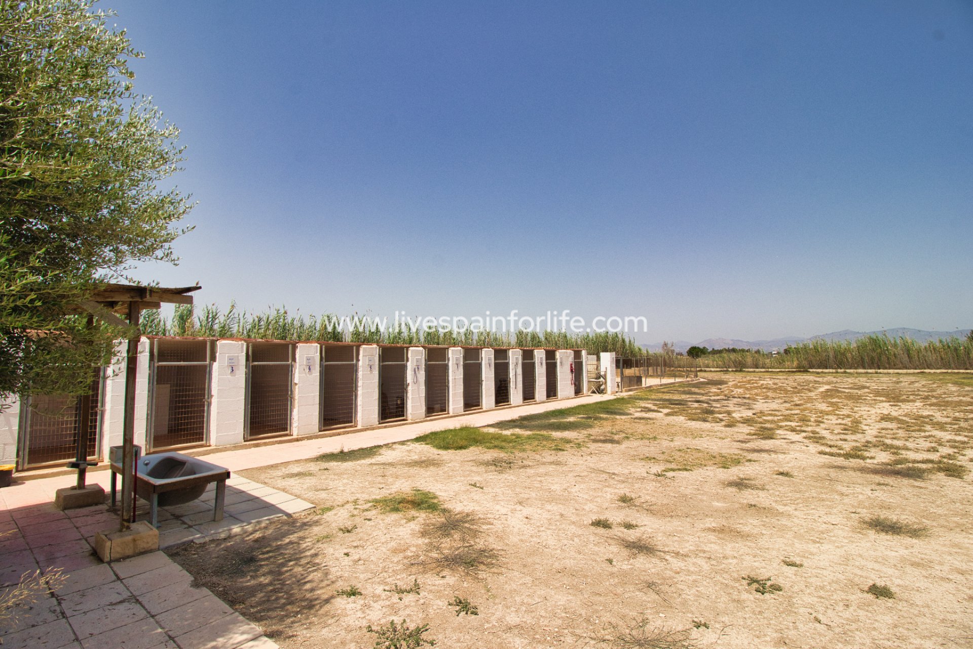 Resale - Country Property -
Alicante