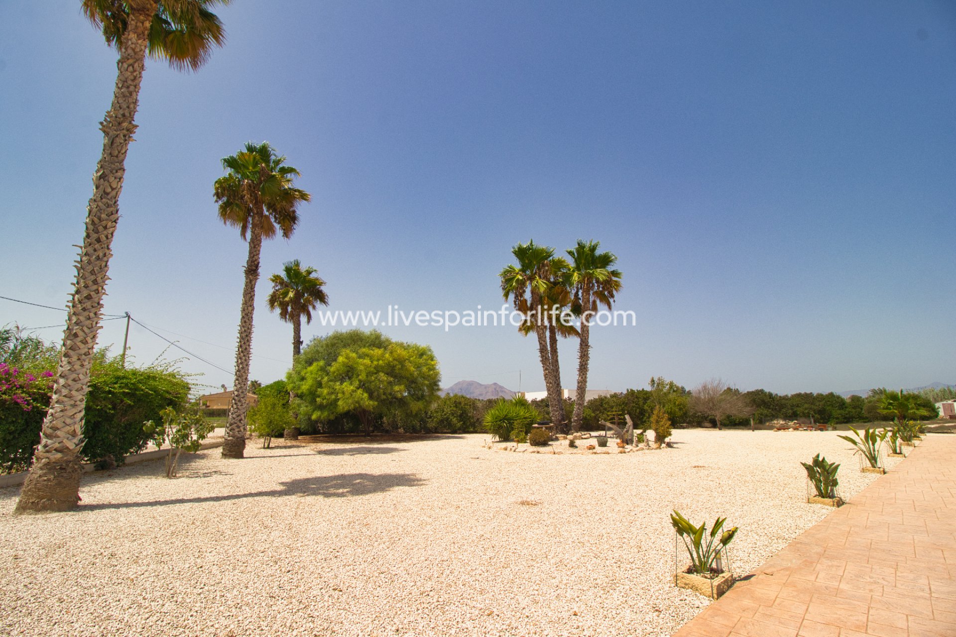 Resale - Country Property -
Alicante