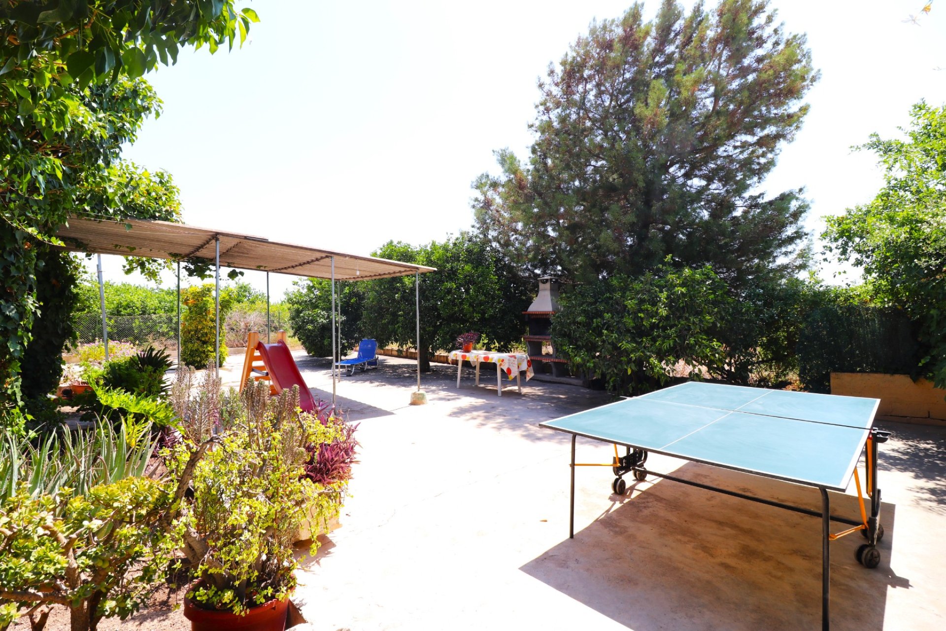 Resale - Country Property -
Alicante