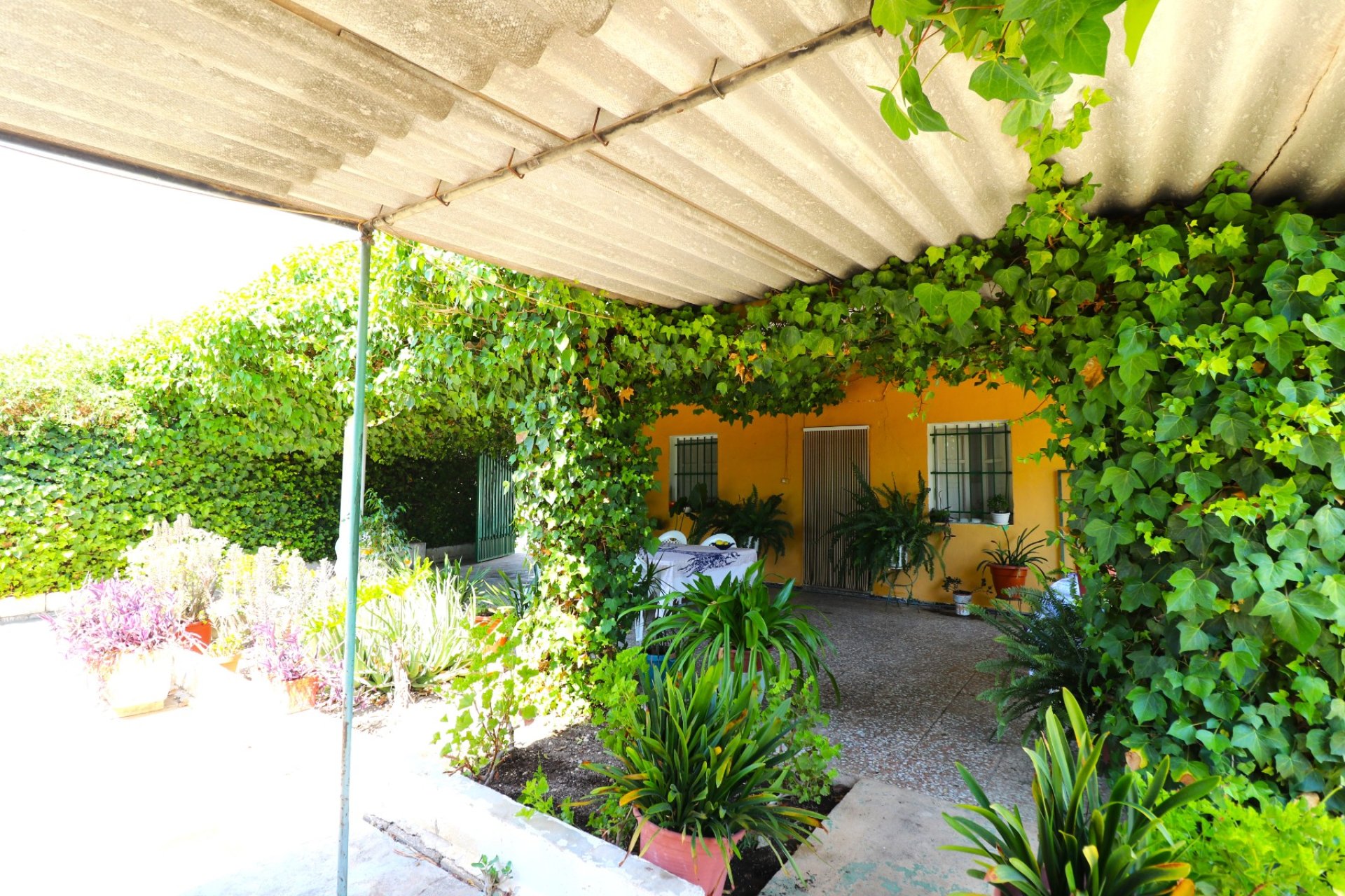 Resale - Country Property -
Alicante