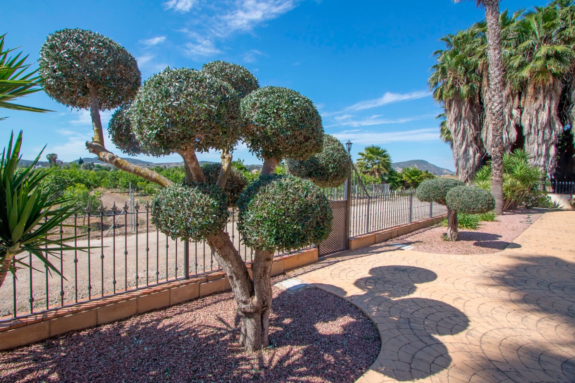 Resale - Country Property -
Alicante