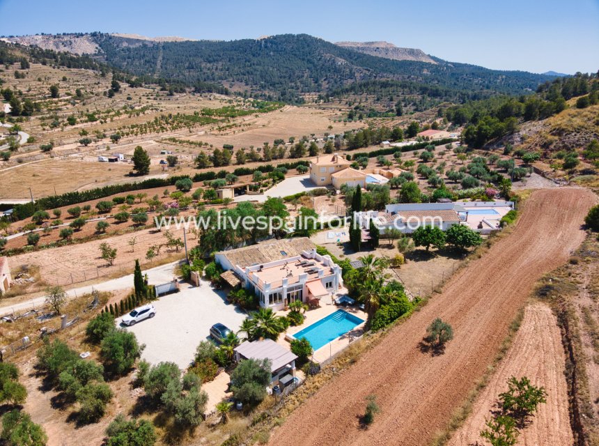 Resale - Country Property -
Alicante