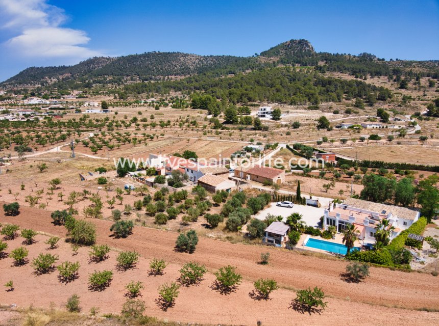 Resale - Country Property -
Alicante