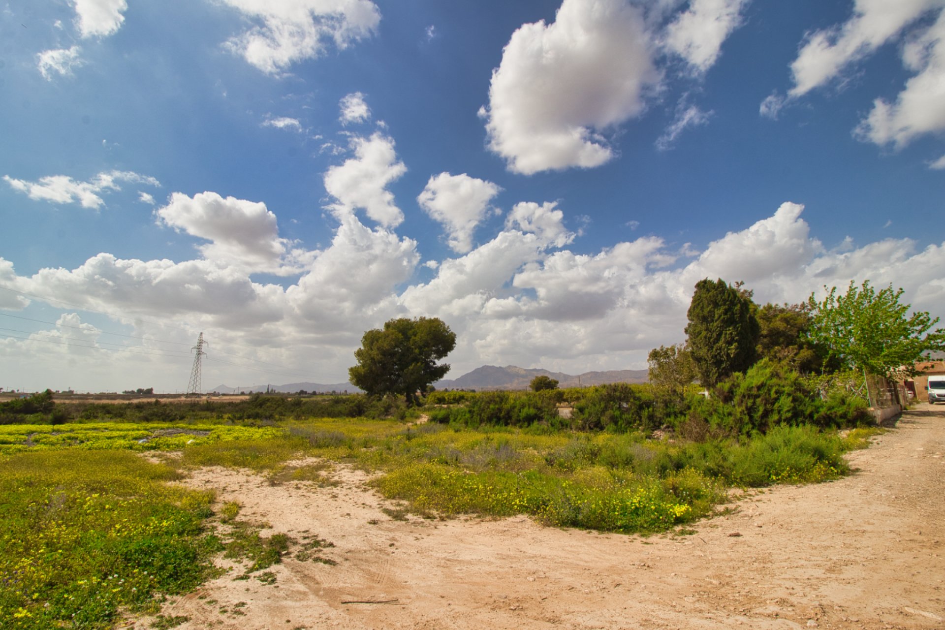 Resale - Country Property -
Alicante