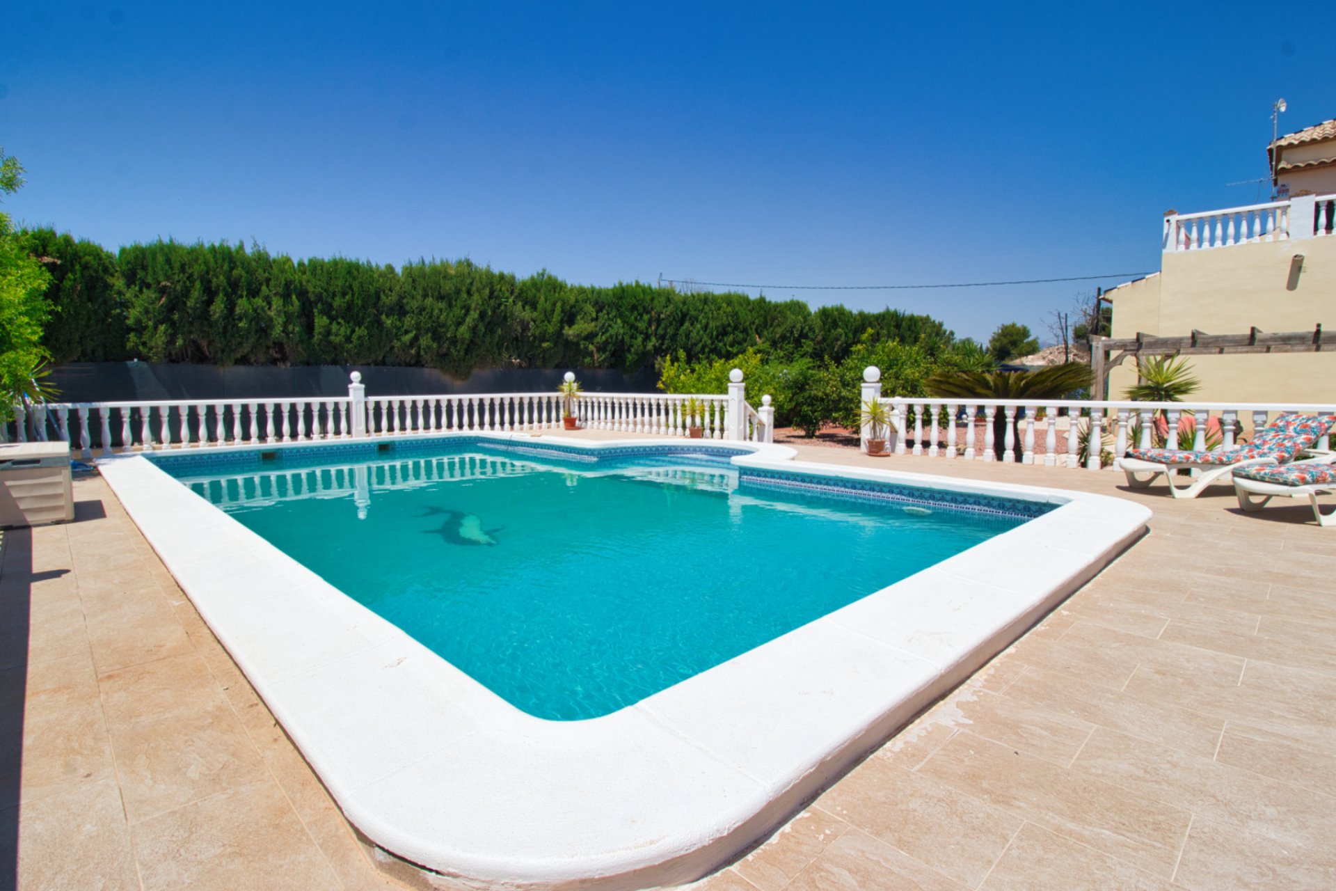Resale - Country Property -
Alicante