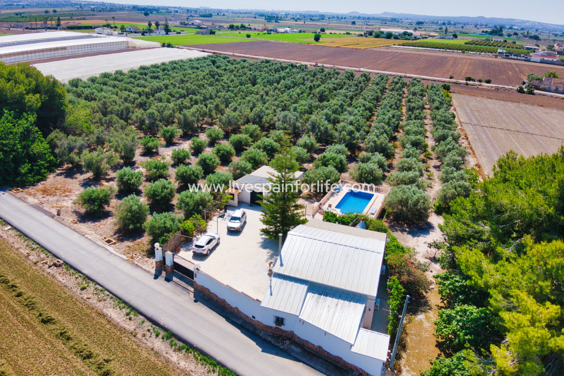 Resale - Country Property -
Alicante