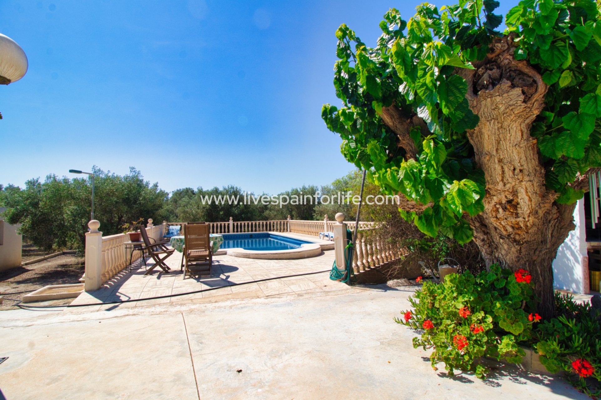 Resale - Country Property -
Alicante