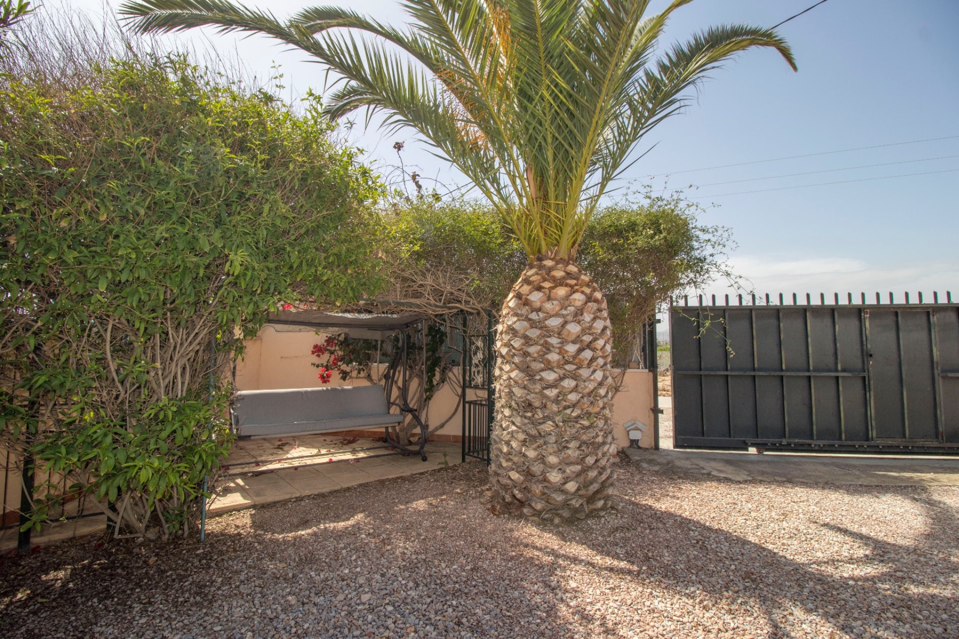 Resale - Country Property -
Alicante