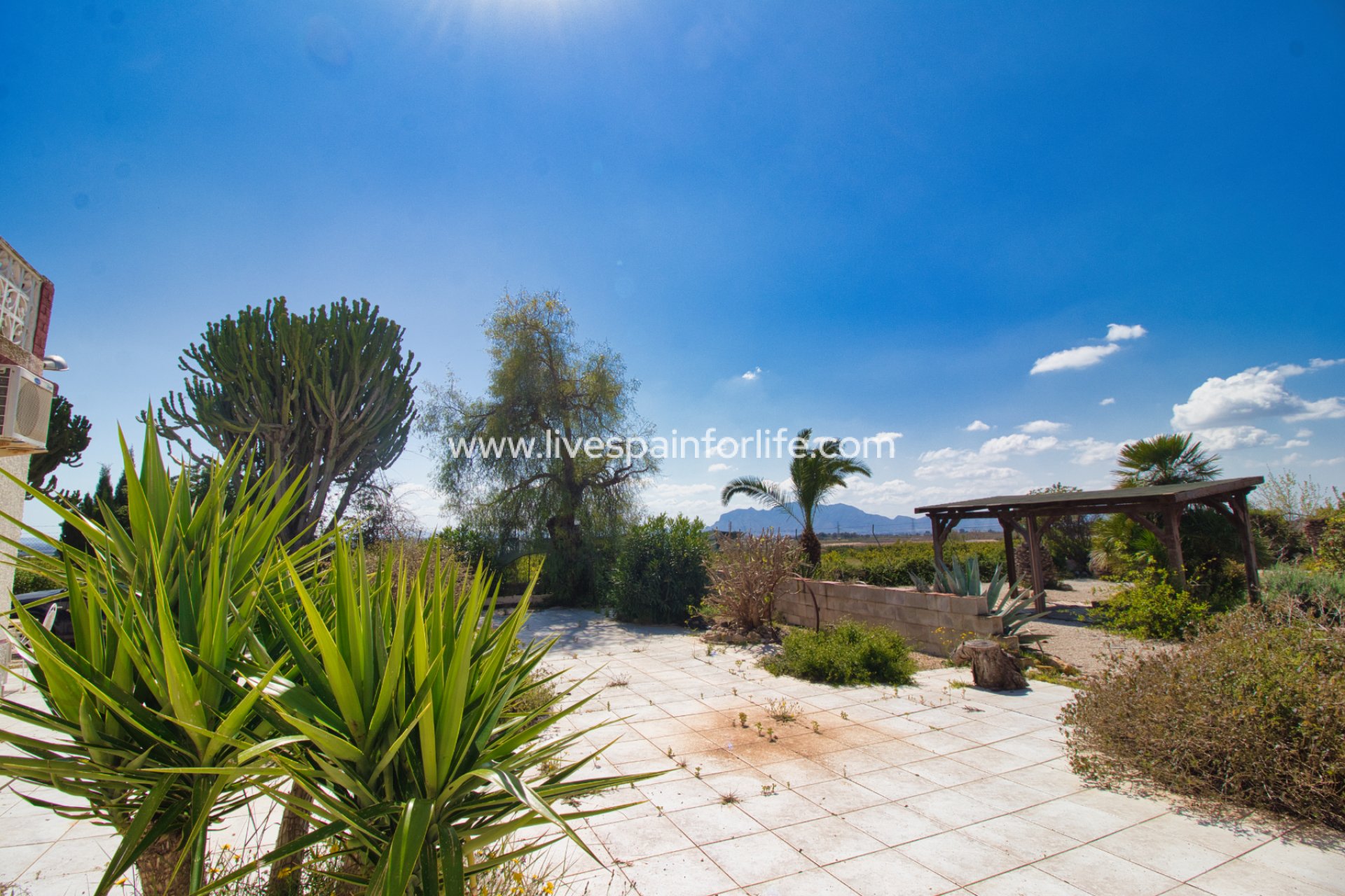 Resale - Country Property -
Alicante