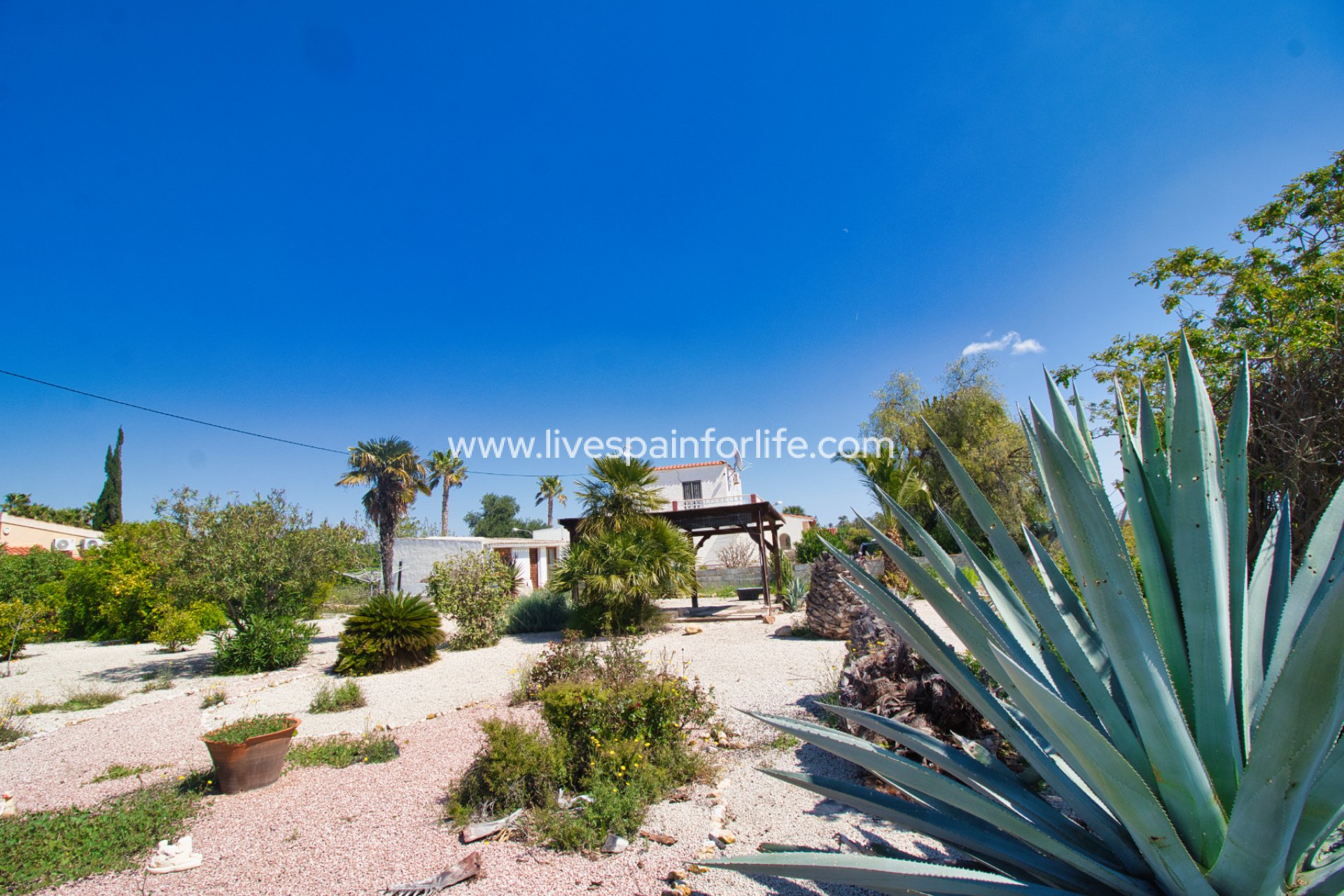 Resale - Country Property -
Alicante