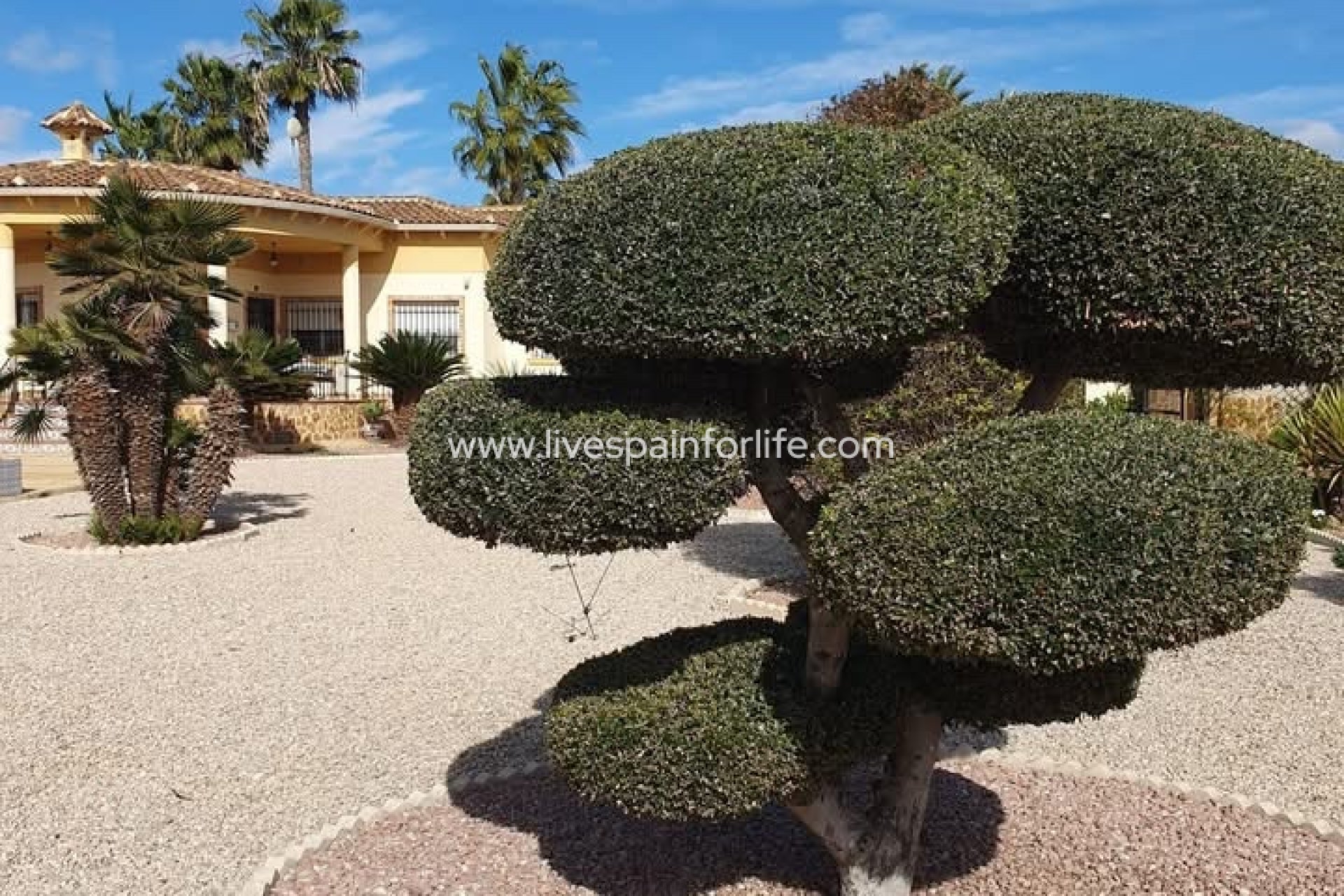 Resale - Country Property -
Alicante