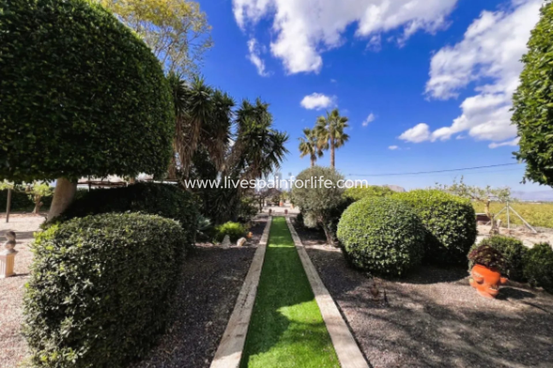 Resale - Country Property -
Alicante