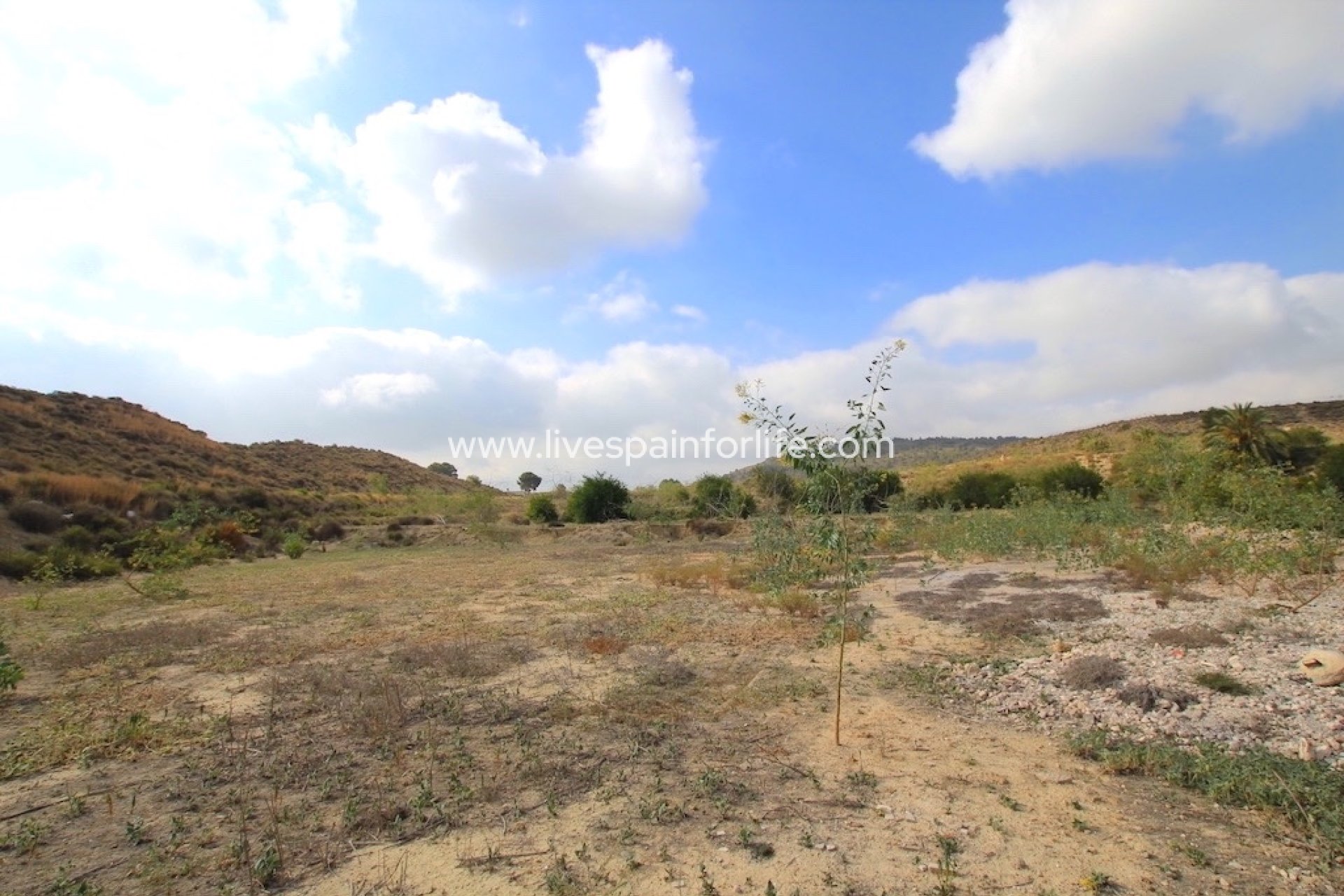 Resale - Country Property -
Alicante