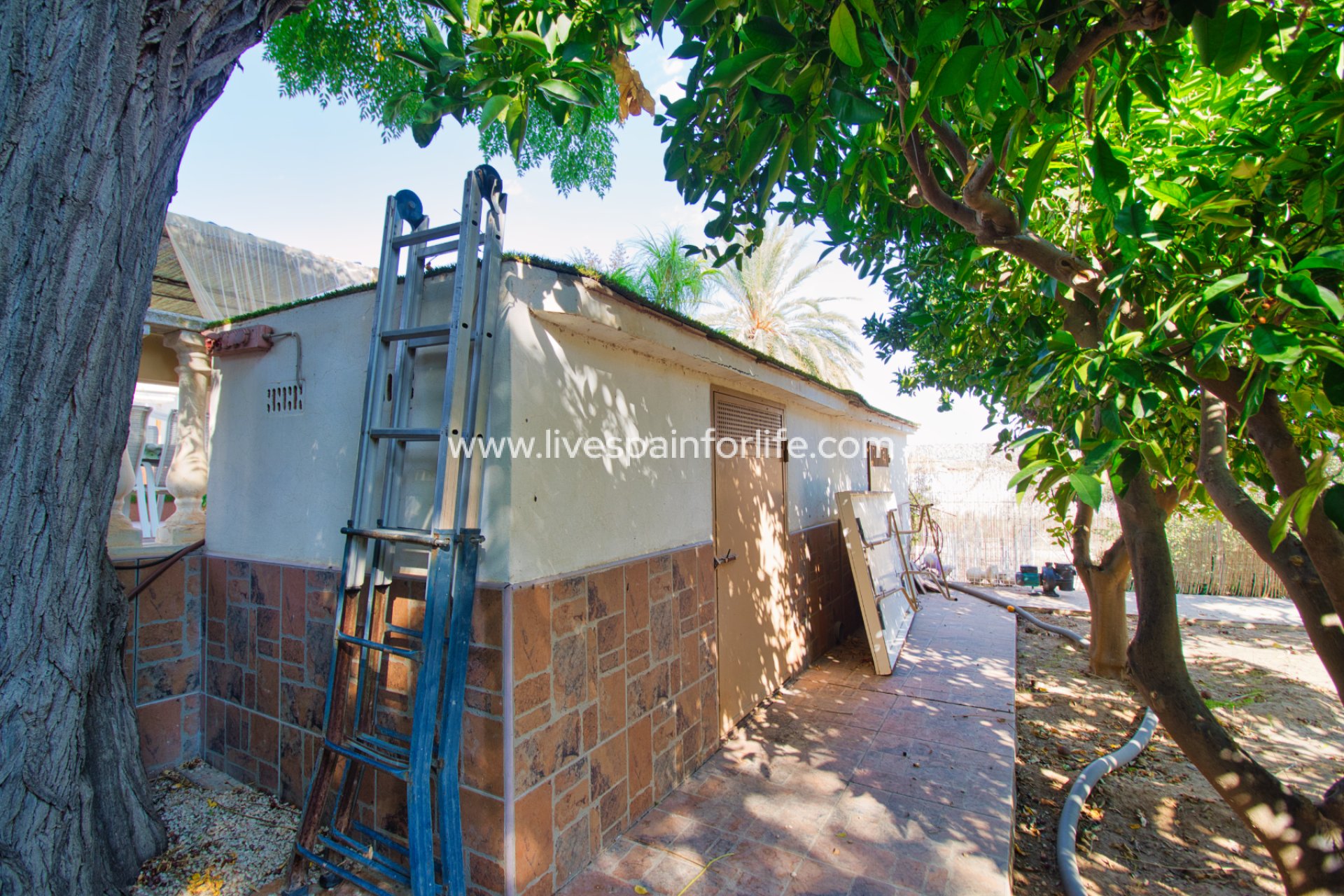 Resale - Country Property -
Alicante