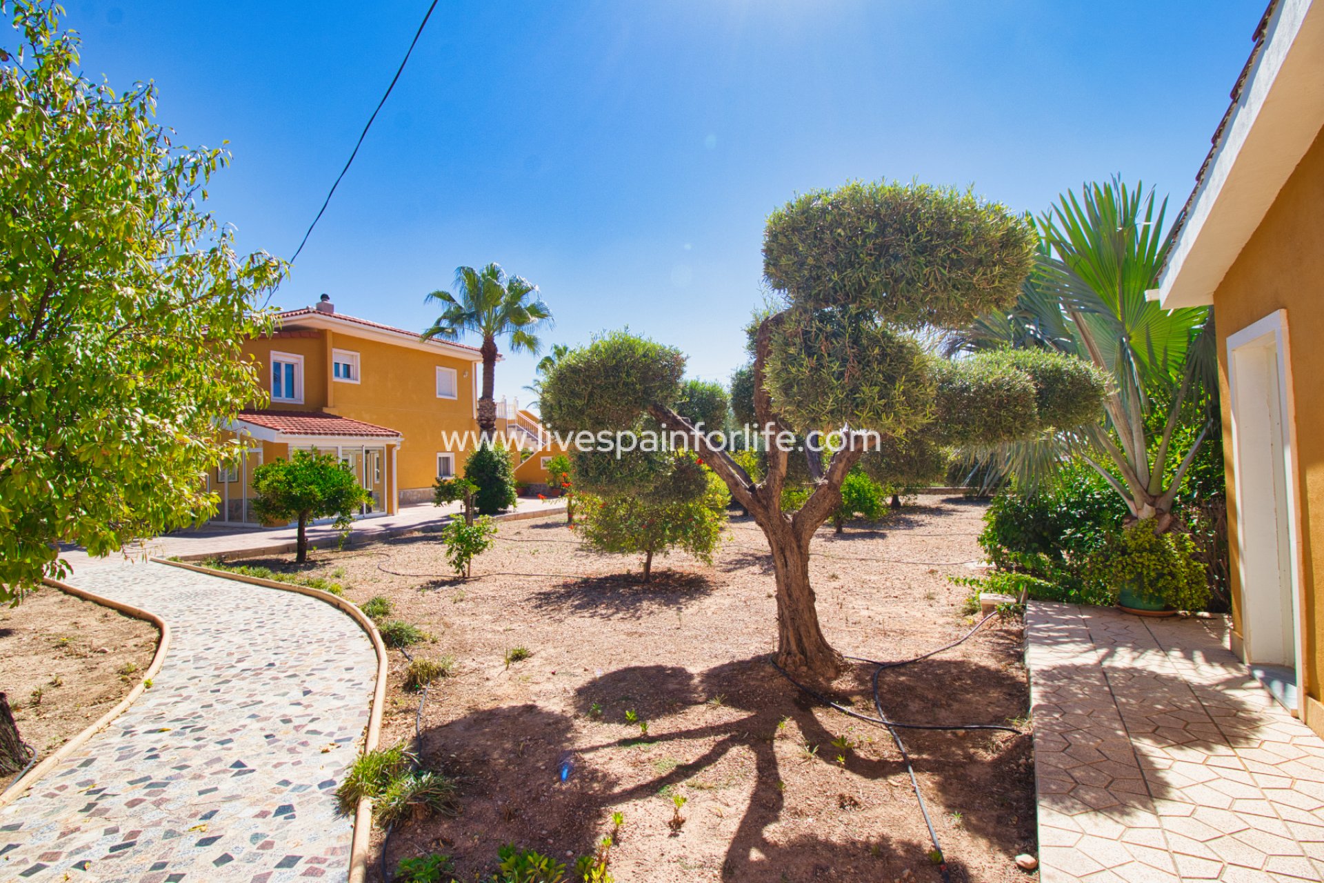 Resale - Country Property -
Alicante