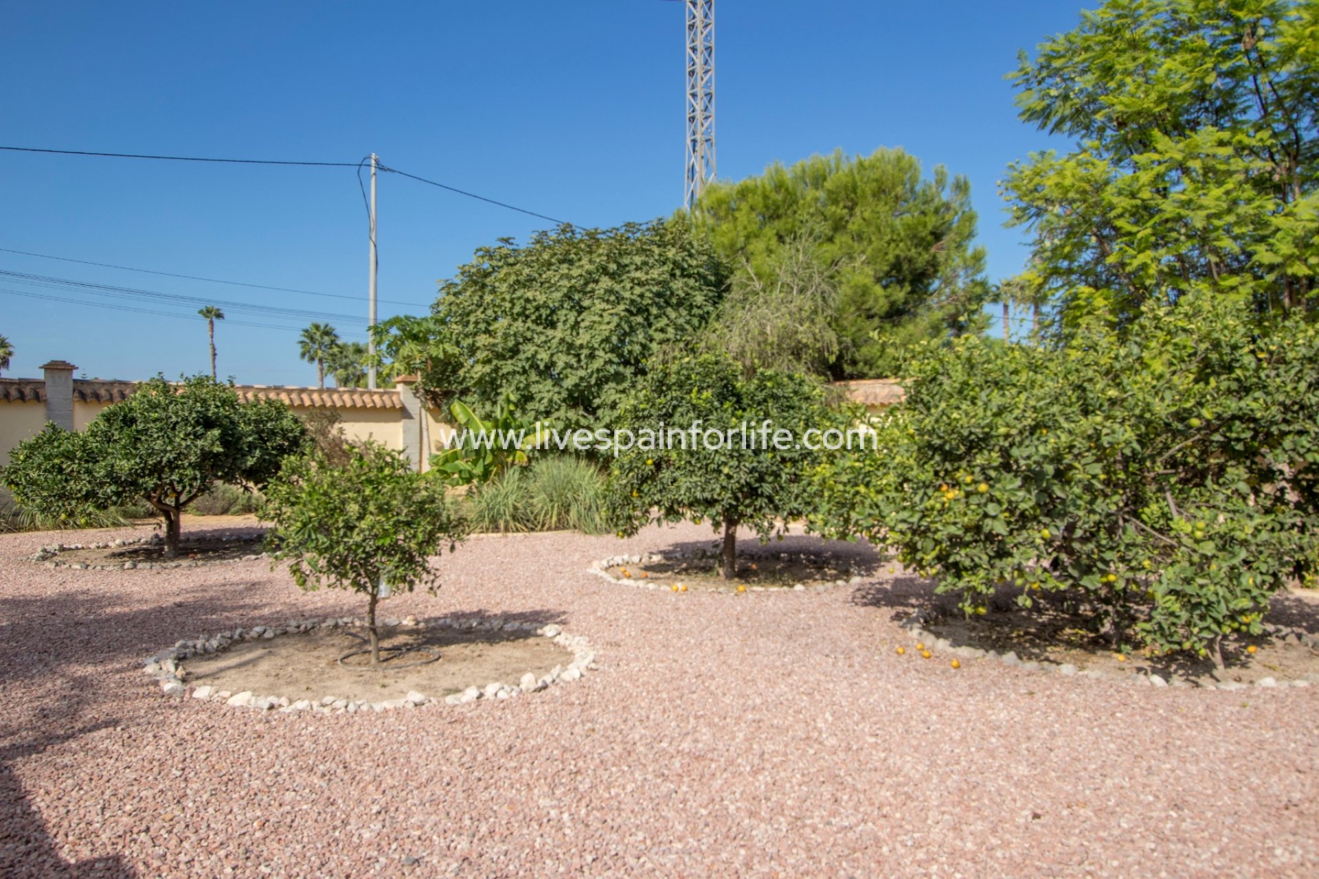 Resale - Country Property -
Alicante