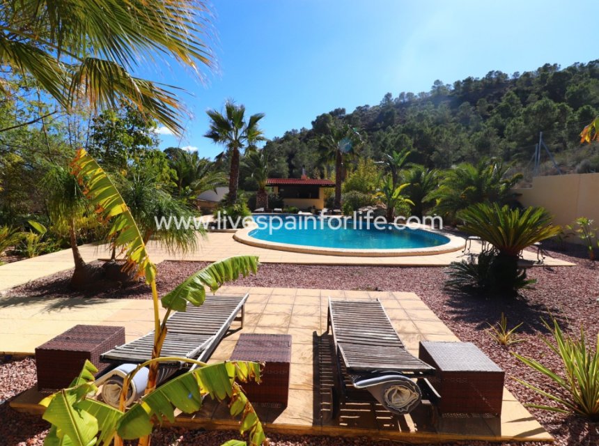 Resale - Country Property -
Aspe