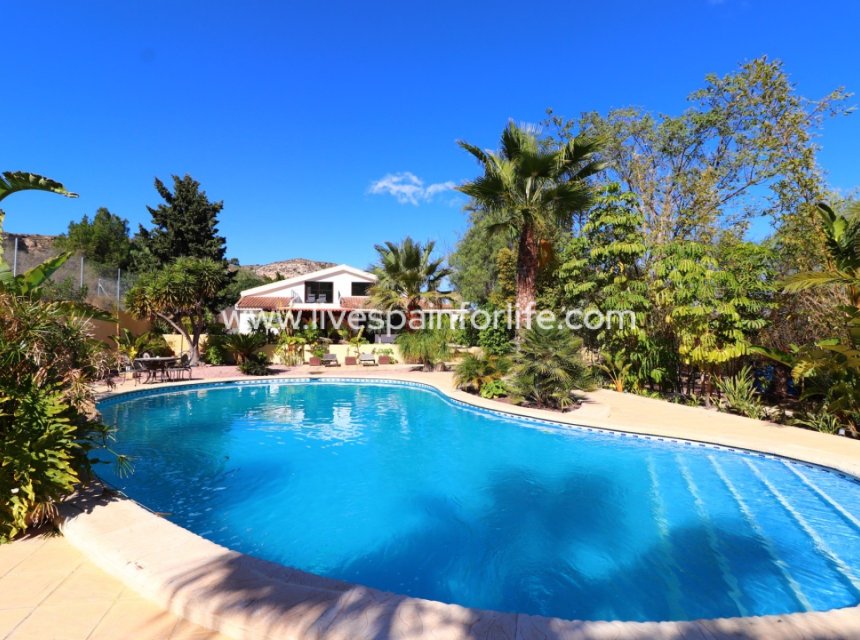 Resale - Country Property -
Aspe