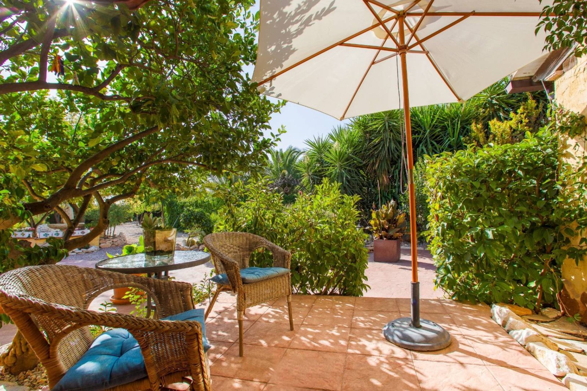 Resale - Country Property -
Barbarroja