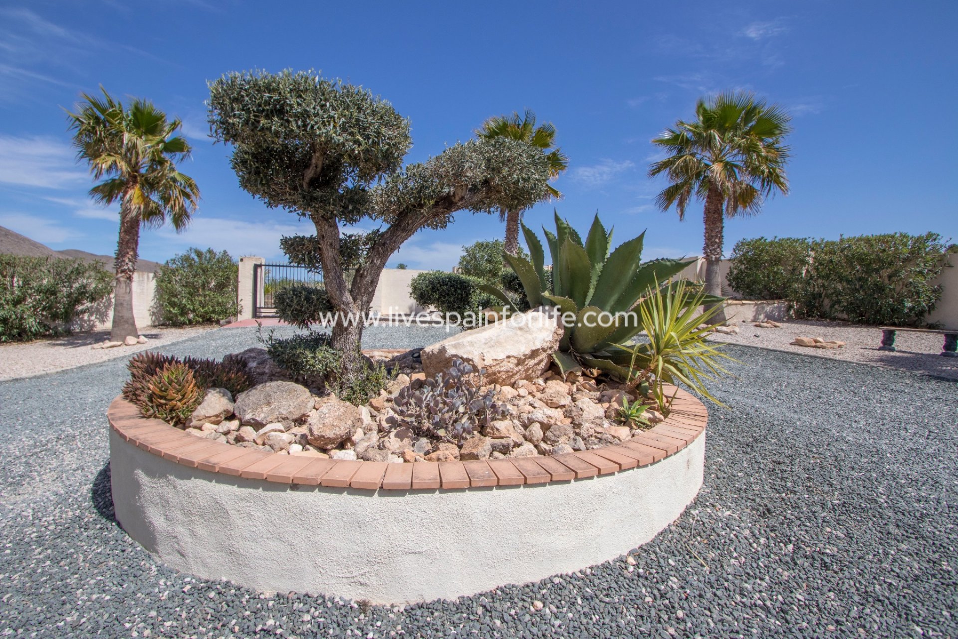 Resale - Country Property -
Barbarroja