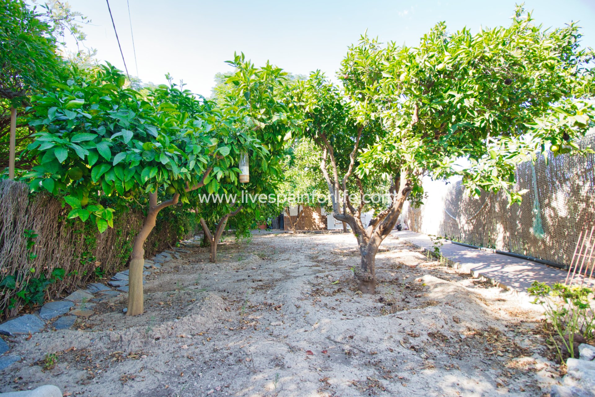 Resale - Country Property -
Benferri