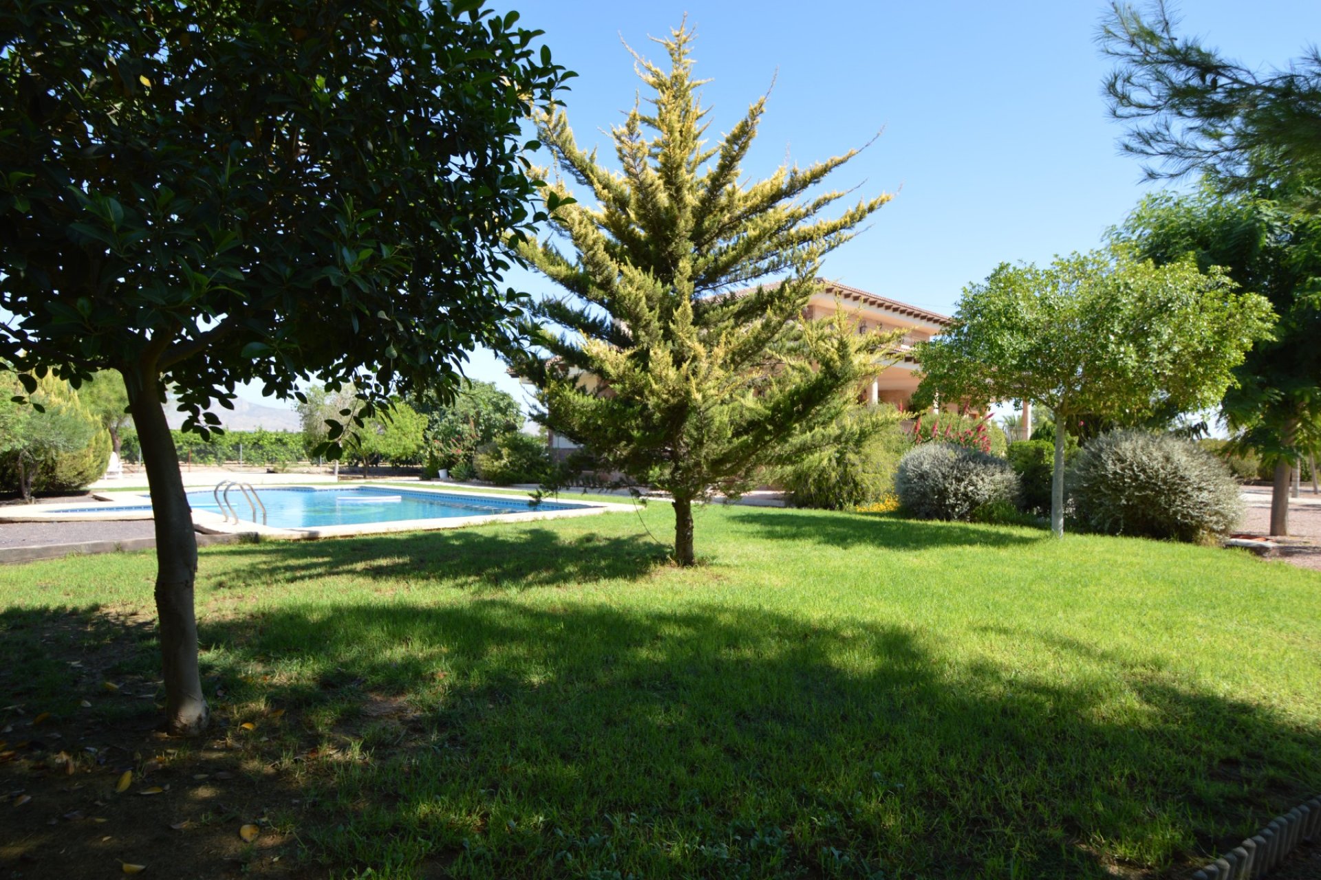 Resale - Country Property -
Callosa De Segura - Callosa de Segura