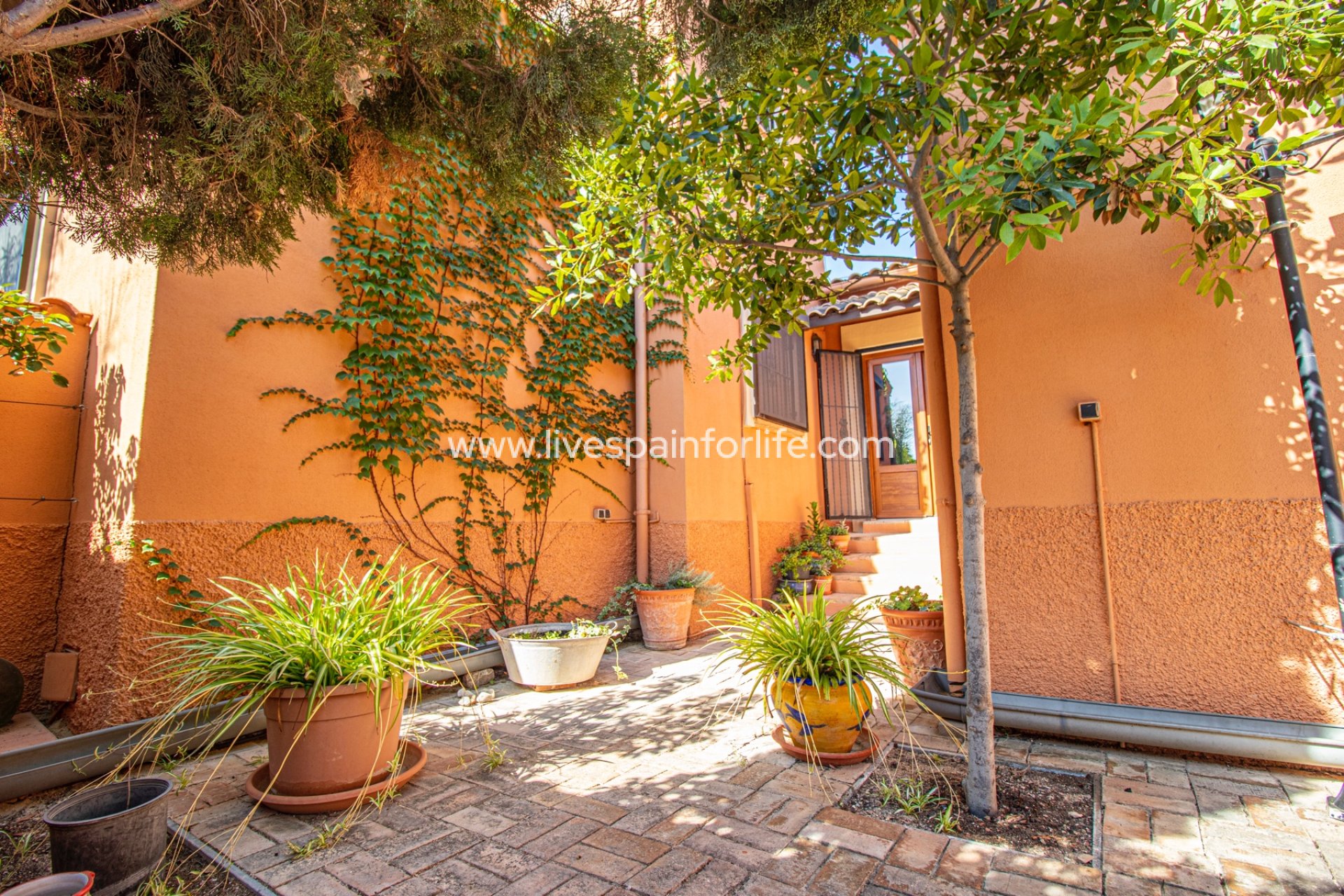 Resale - Country Property -
Catral