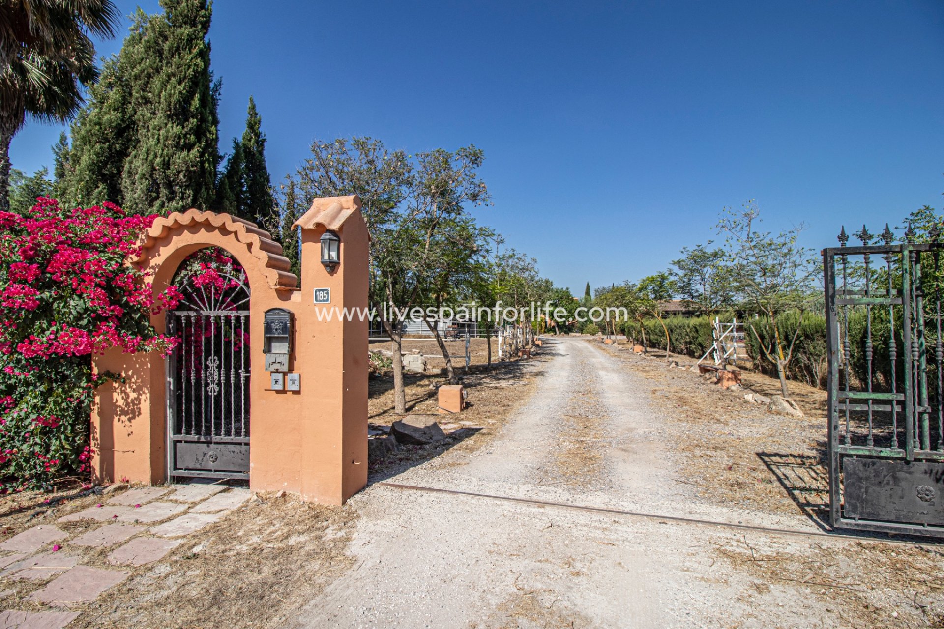 Resale - Country Property -
Catral