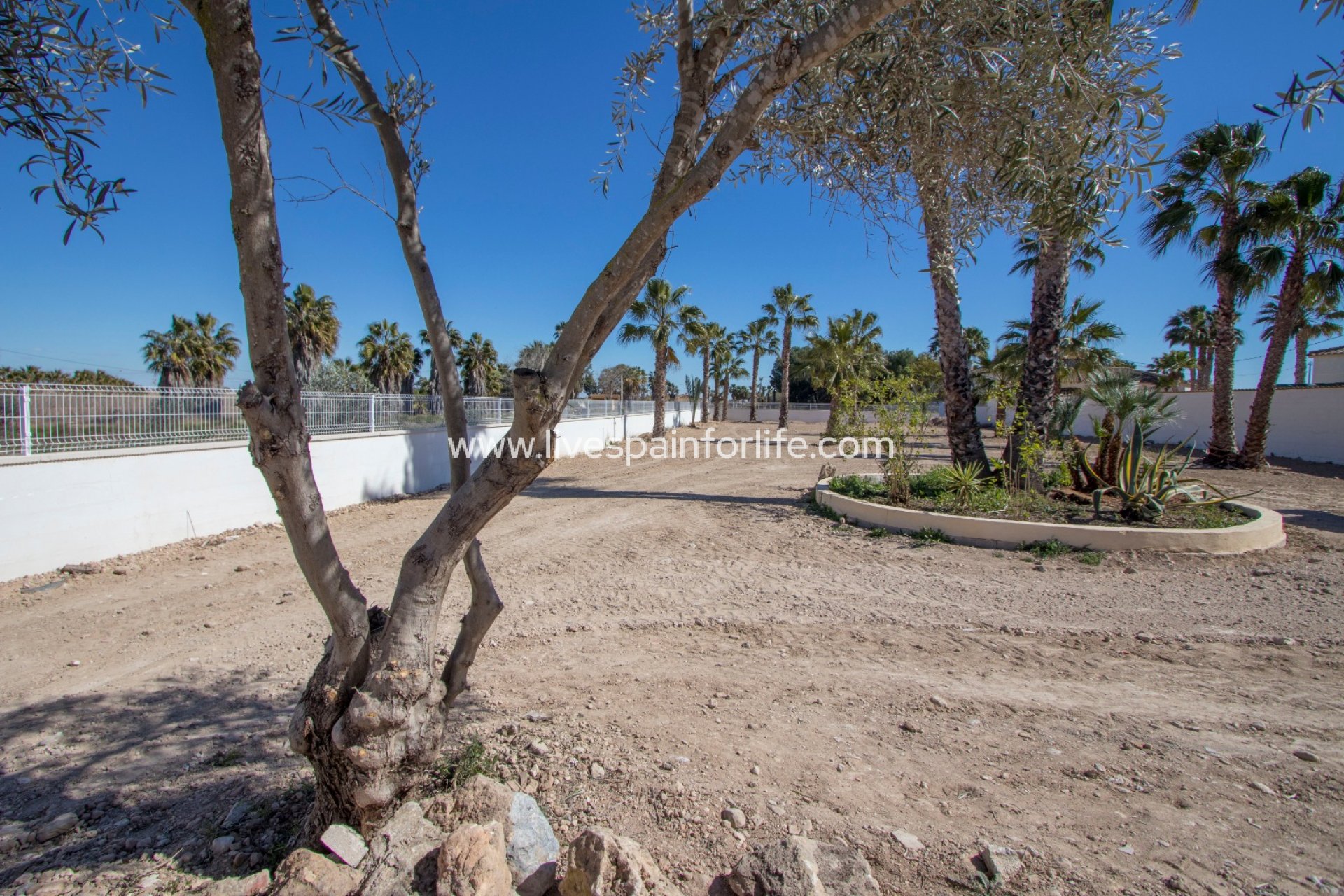 Resale - Country Property -
Catral