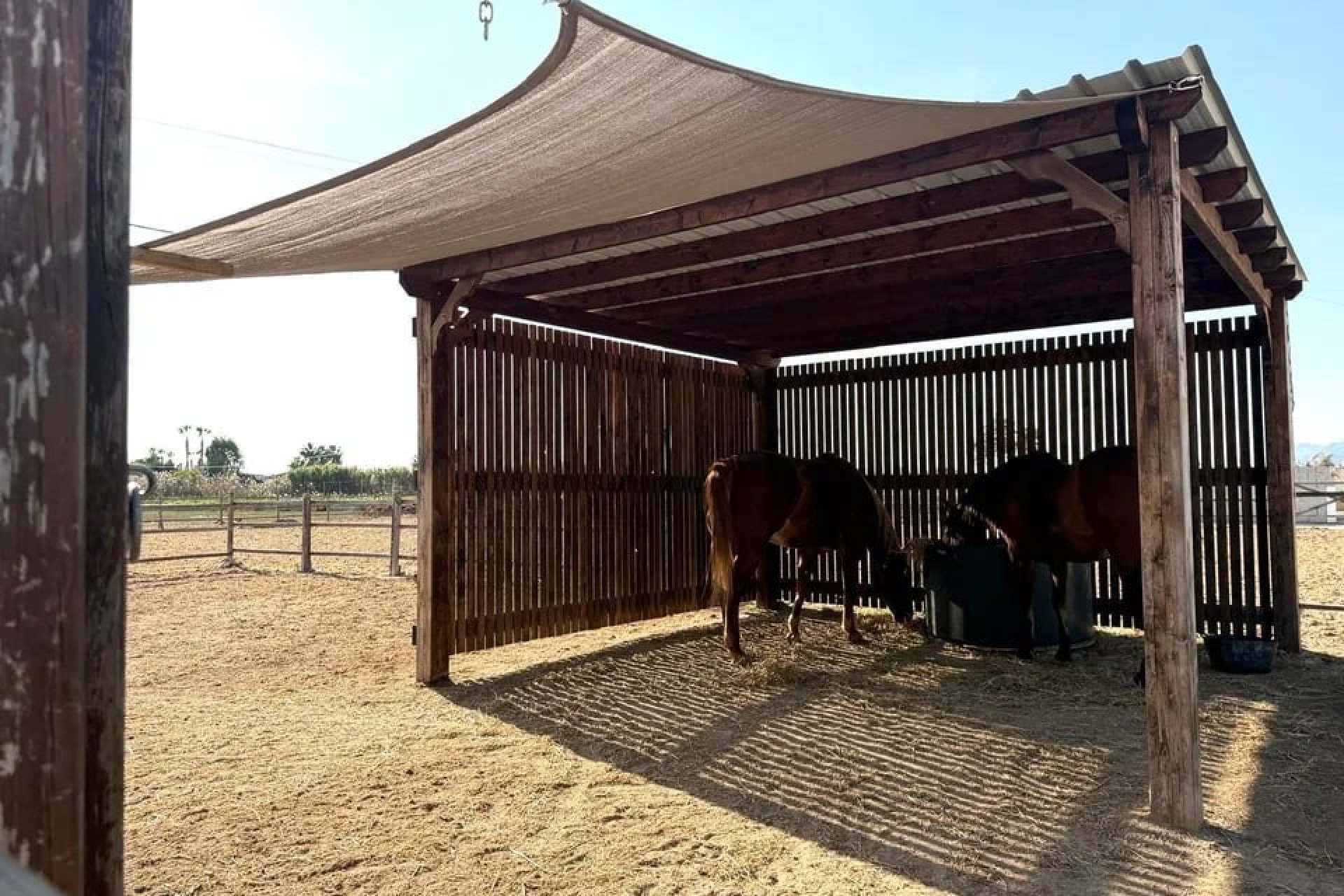 Resale - Country Property -
Catral