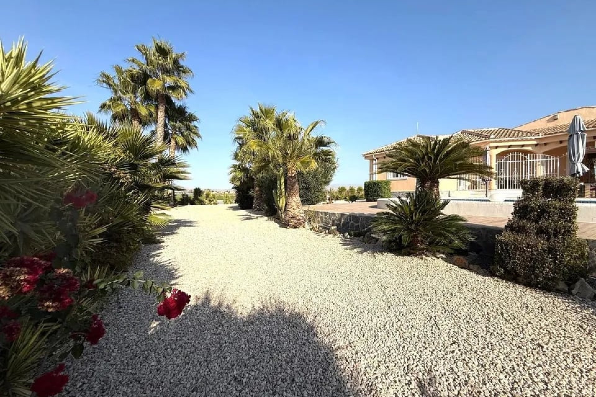 Resale - Country Property -
Catral