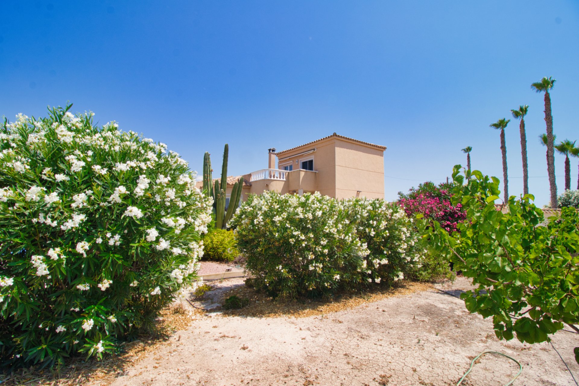 Resale - Country Property -
Catral