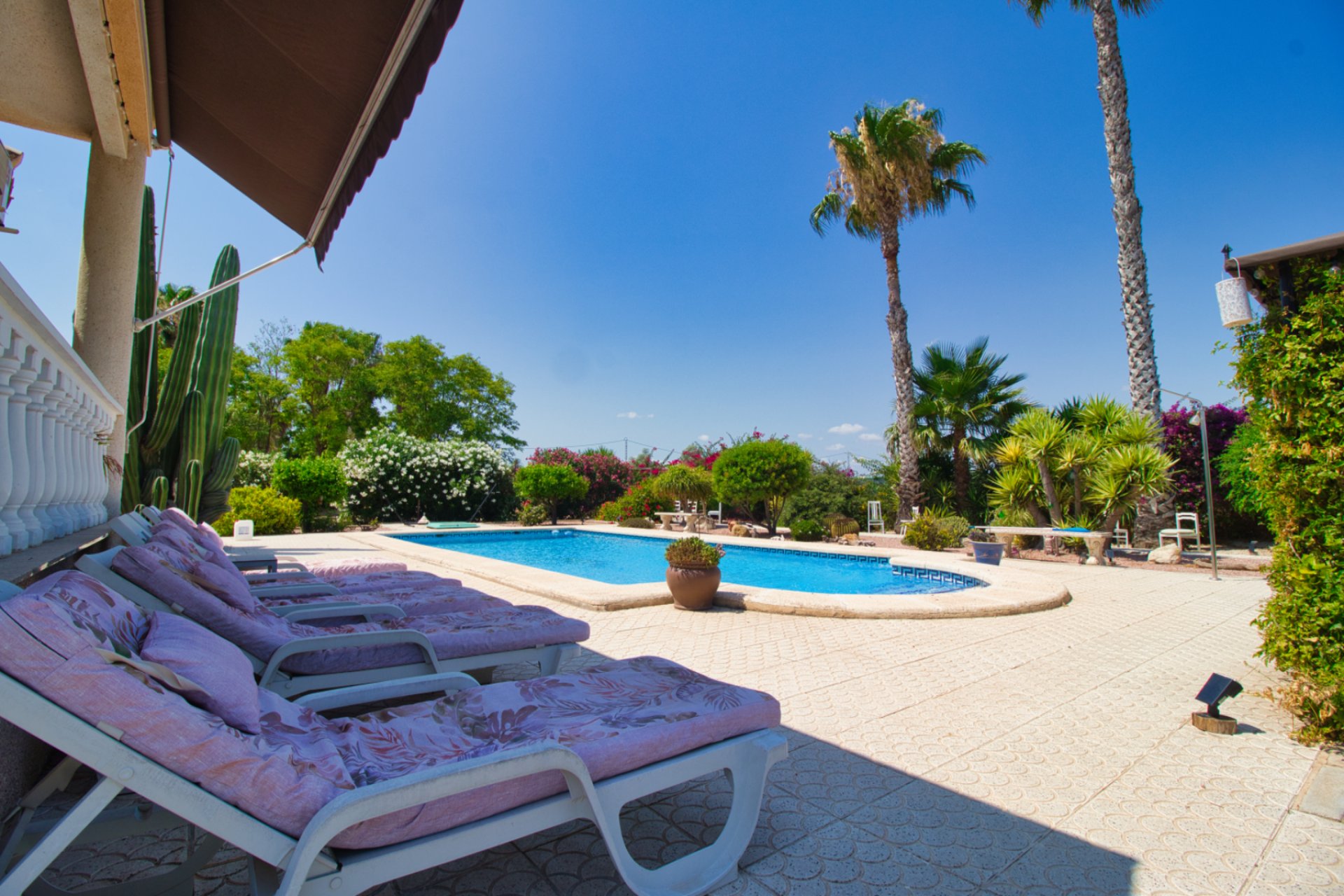 Resale - Country Property -
Catral