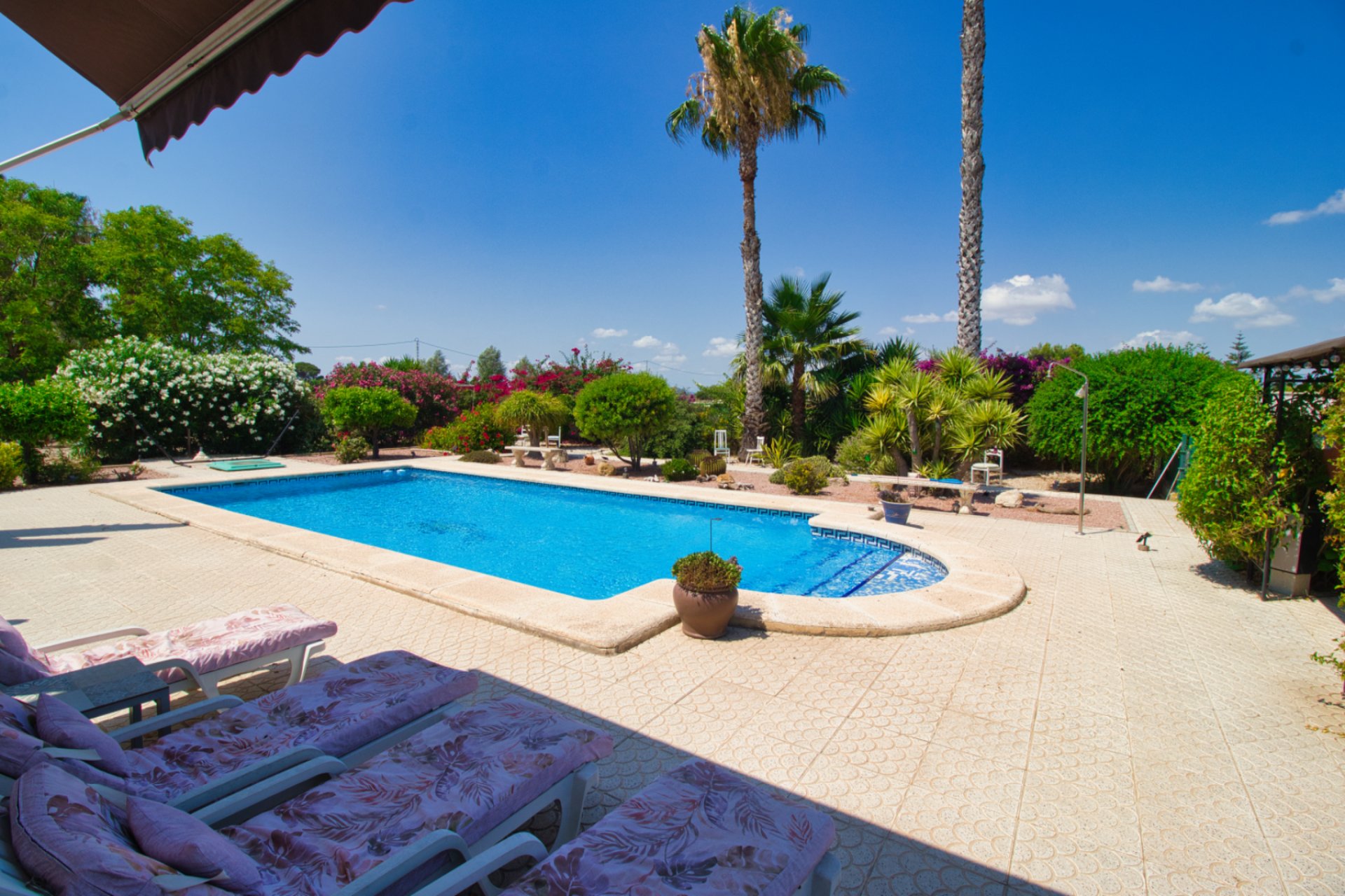 Resale - Country Property -
Catral