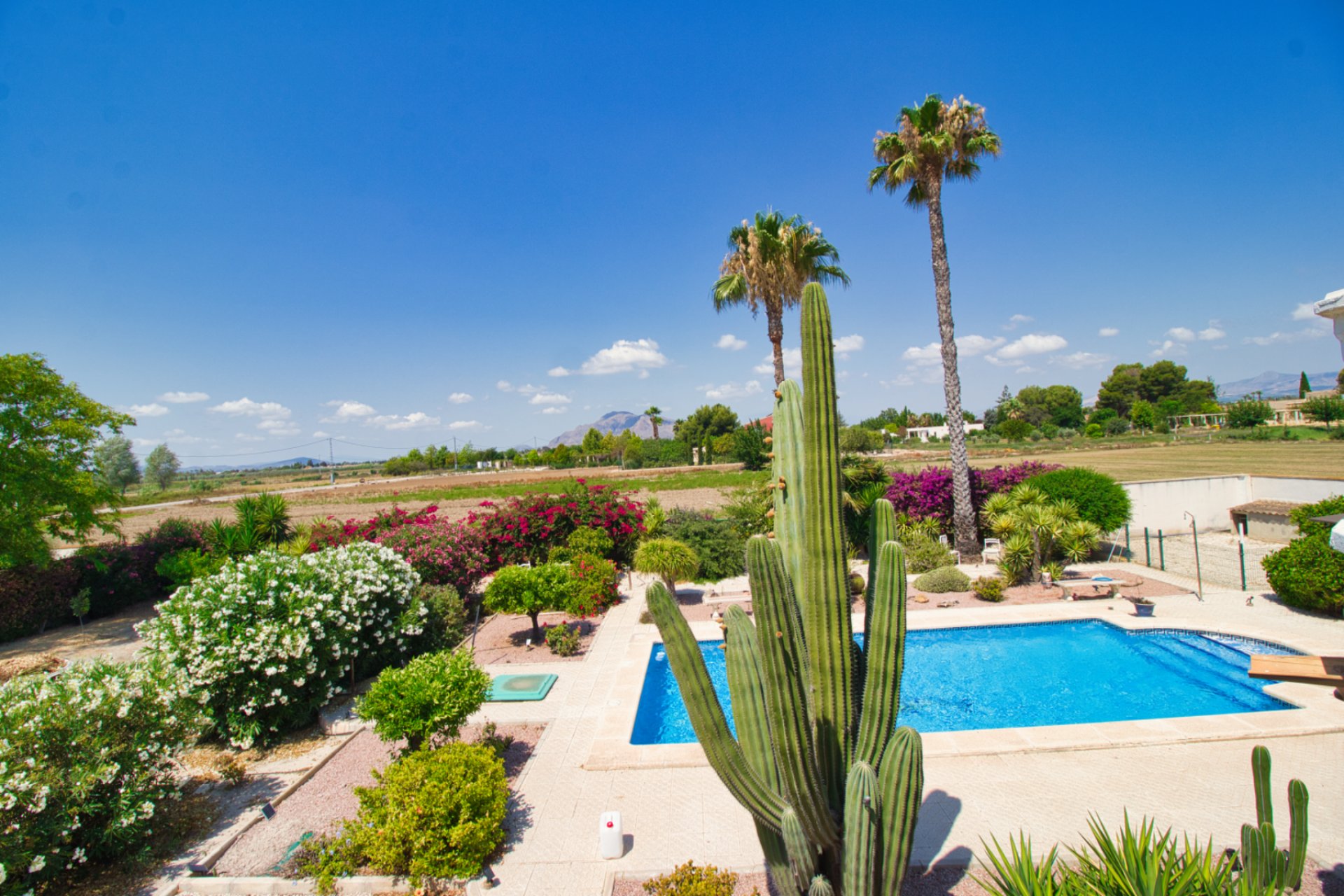 Resale - Country Property -
Catral