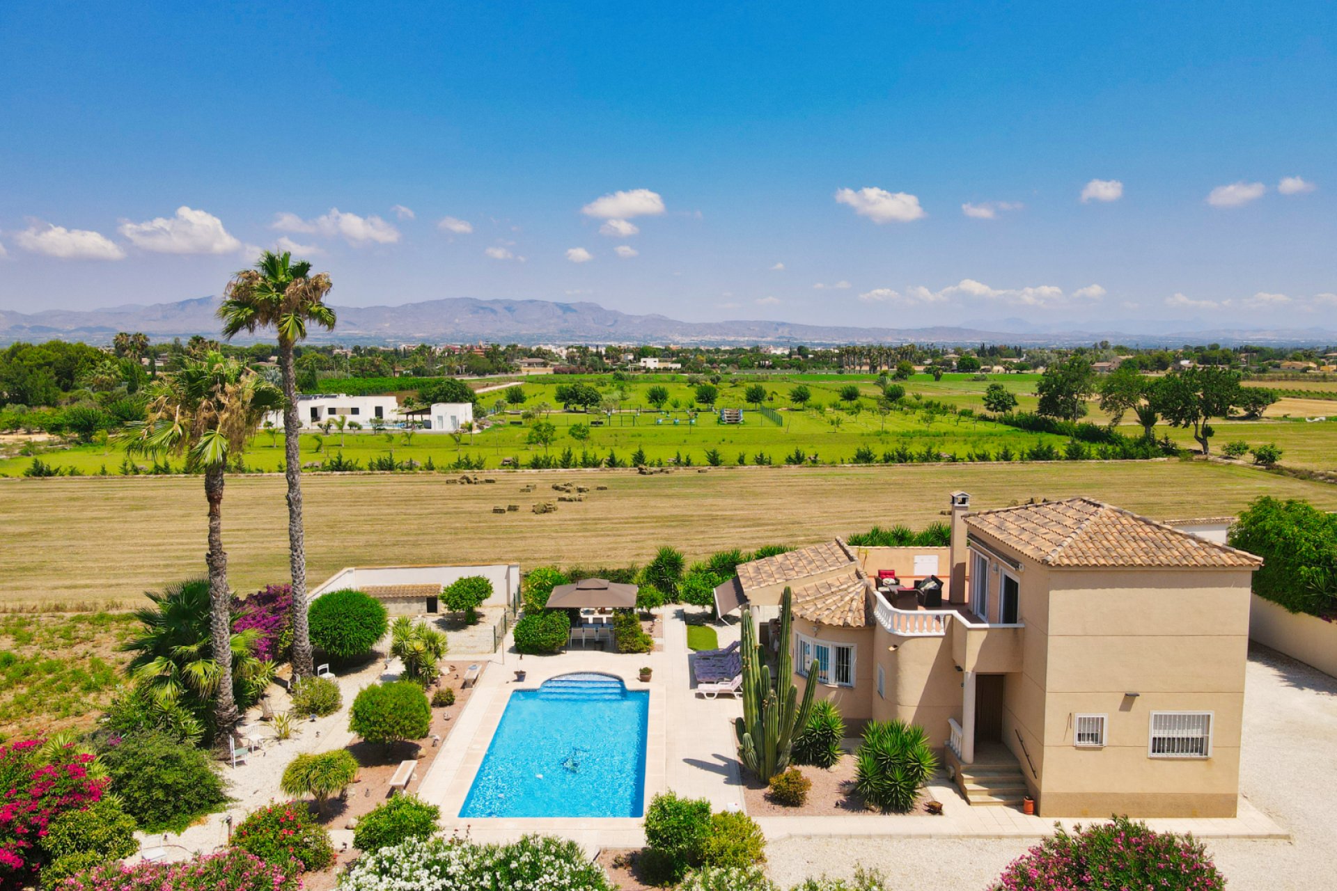 Resale - Country Property -
Catral