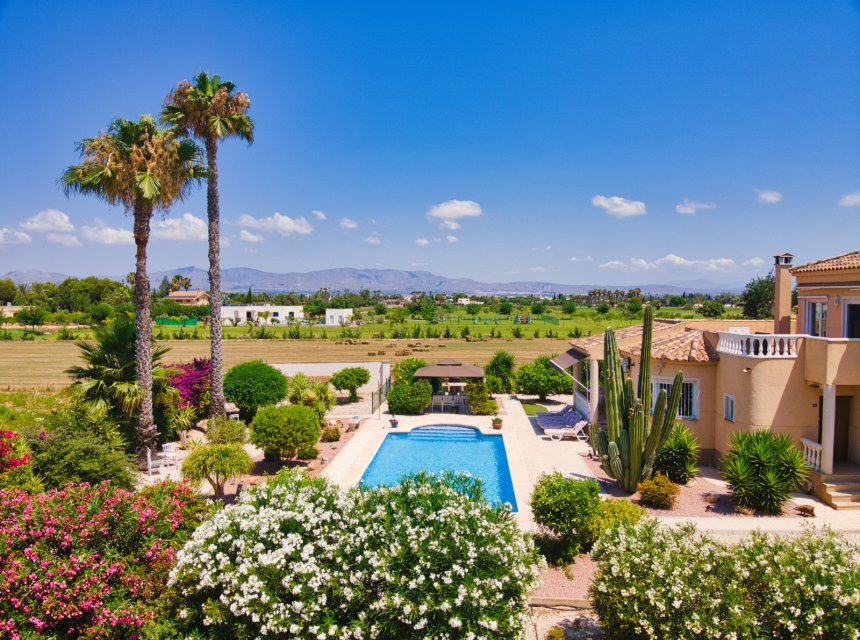 Resale - Country Property -
Catral