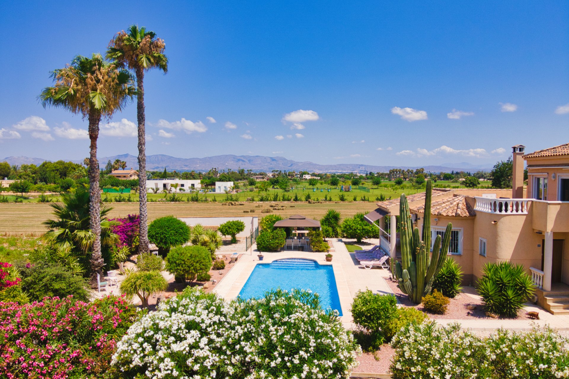 Resale - Country Property -
Catral