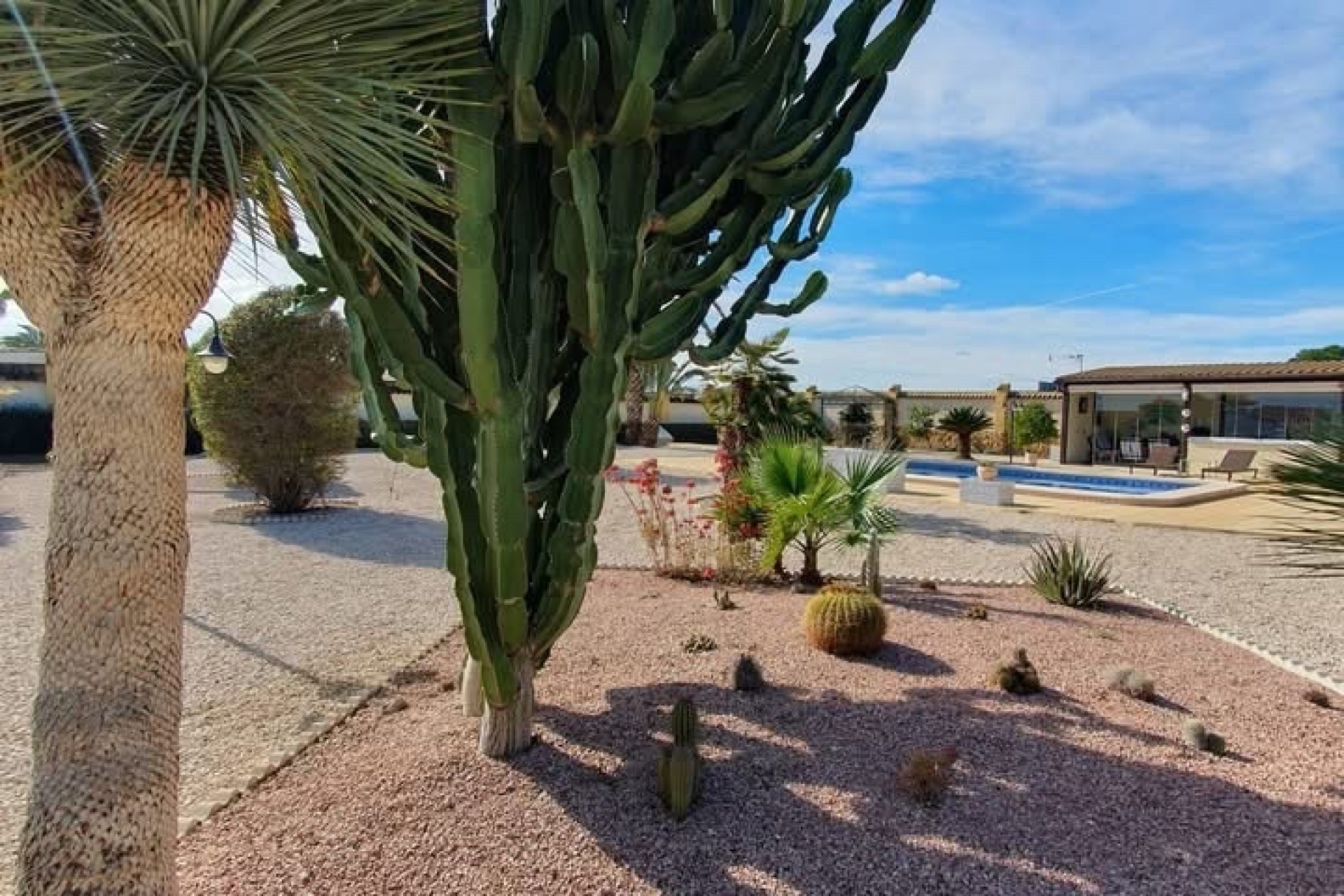 Resale - Country Property -
Catral