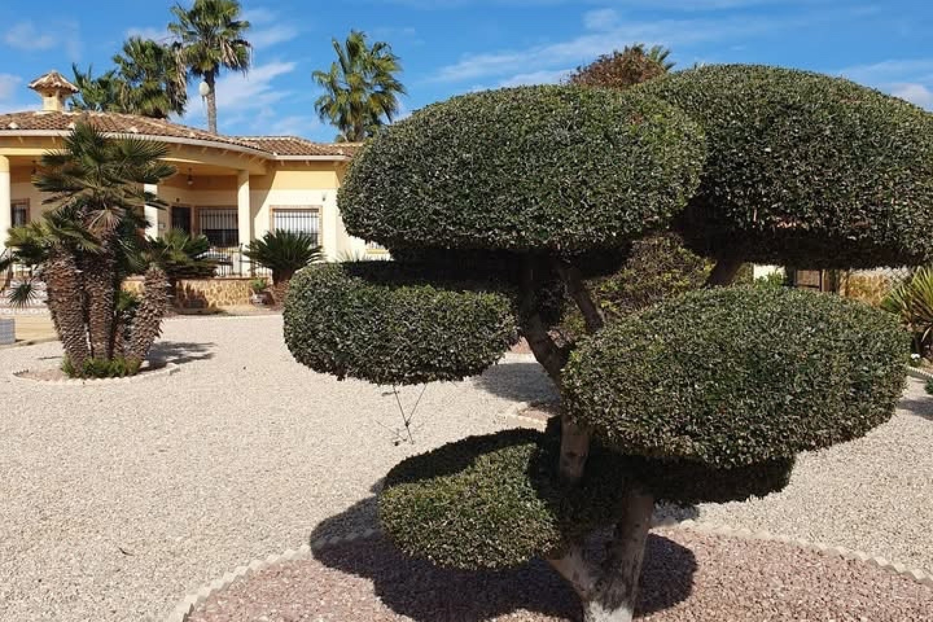 Resale - Country Property -
Catral