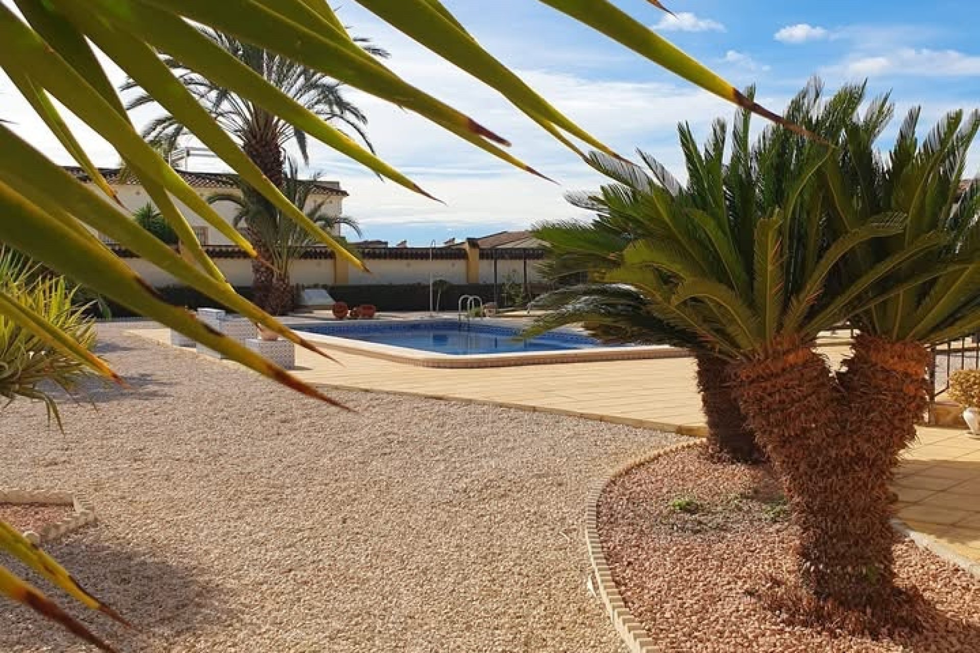 Resale - Country Property -
Catral