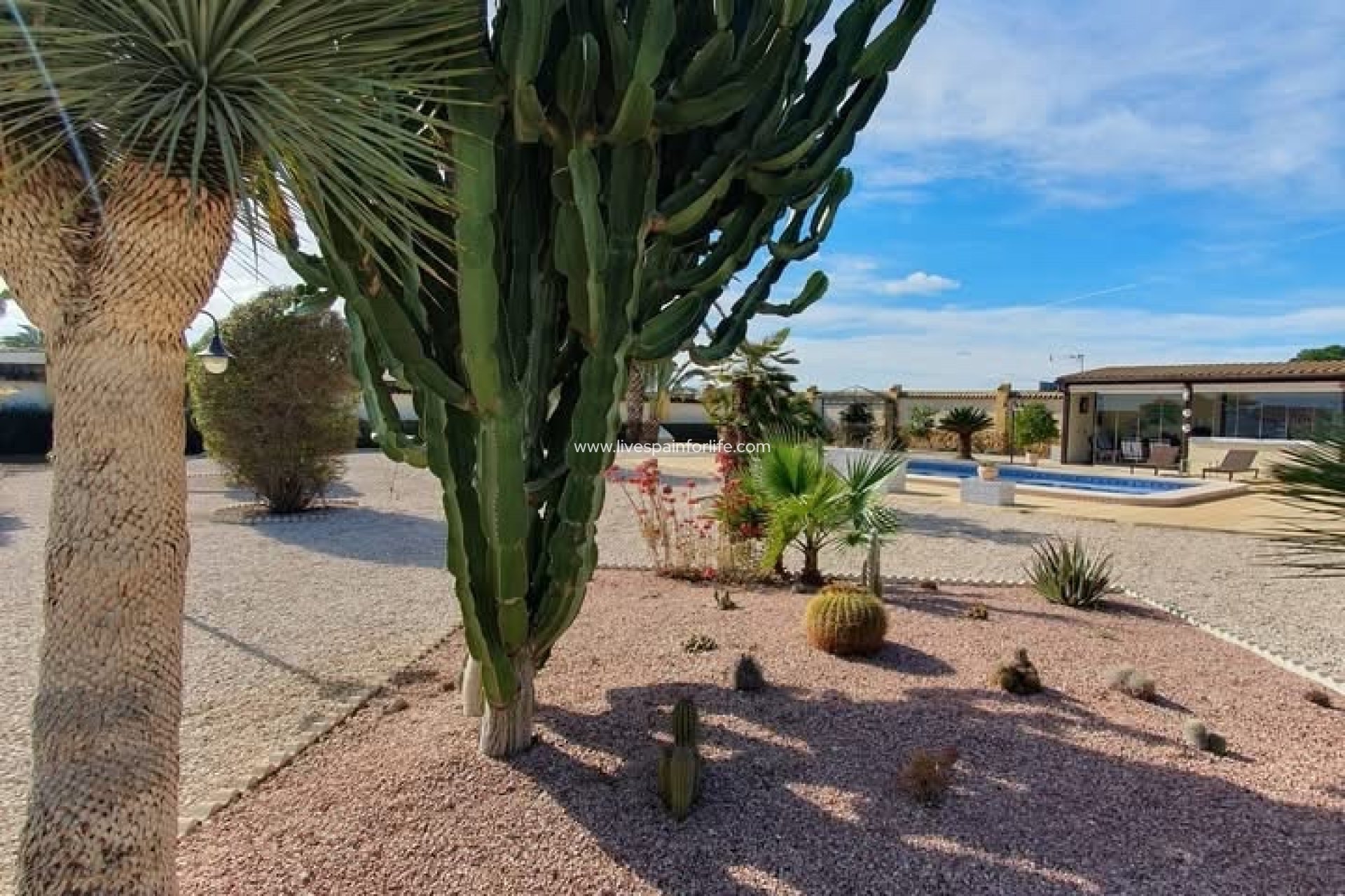 Resale - Country Property -
Catral