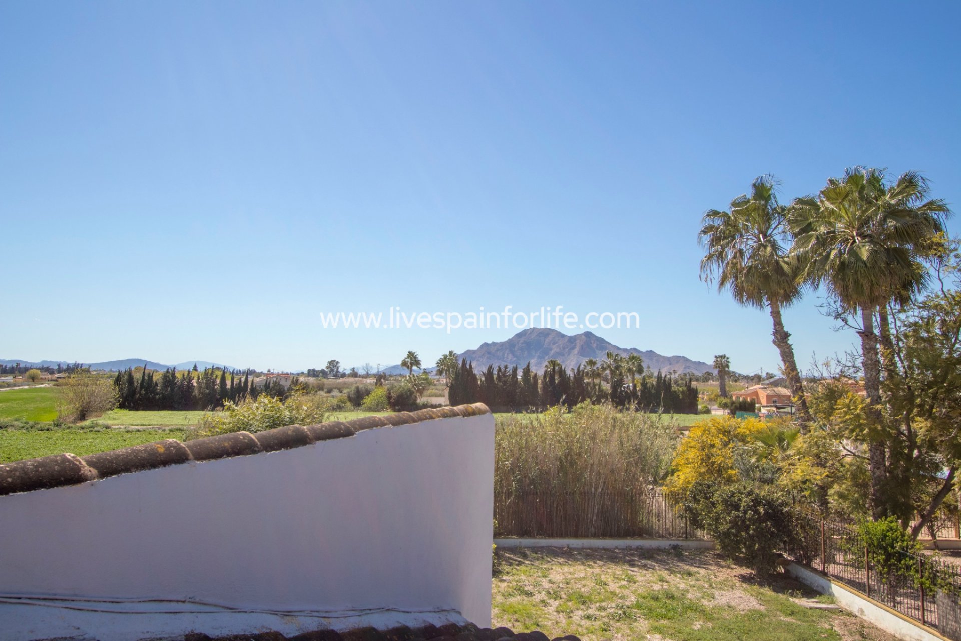 Resale - Country Property -
Catral