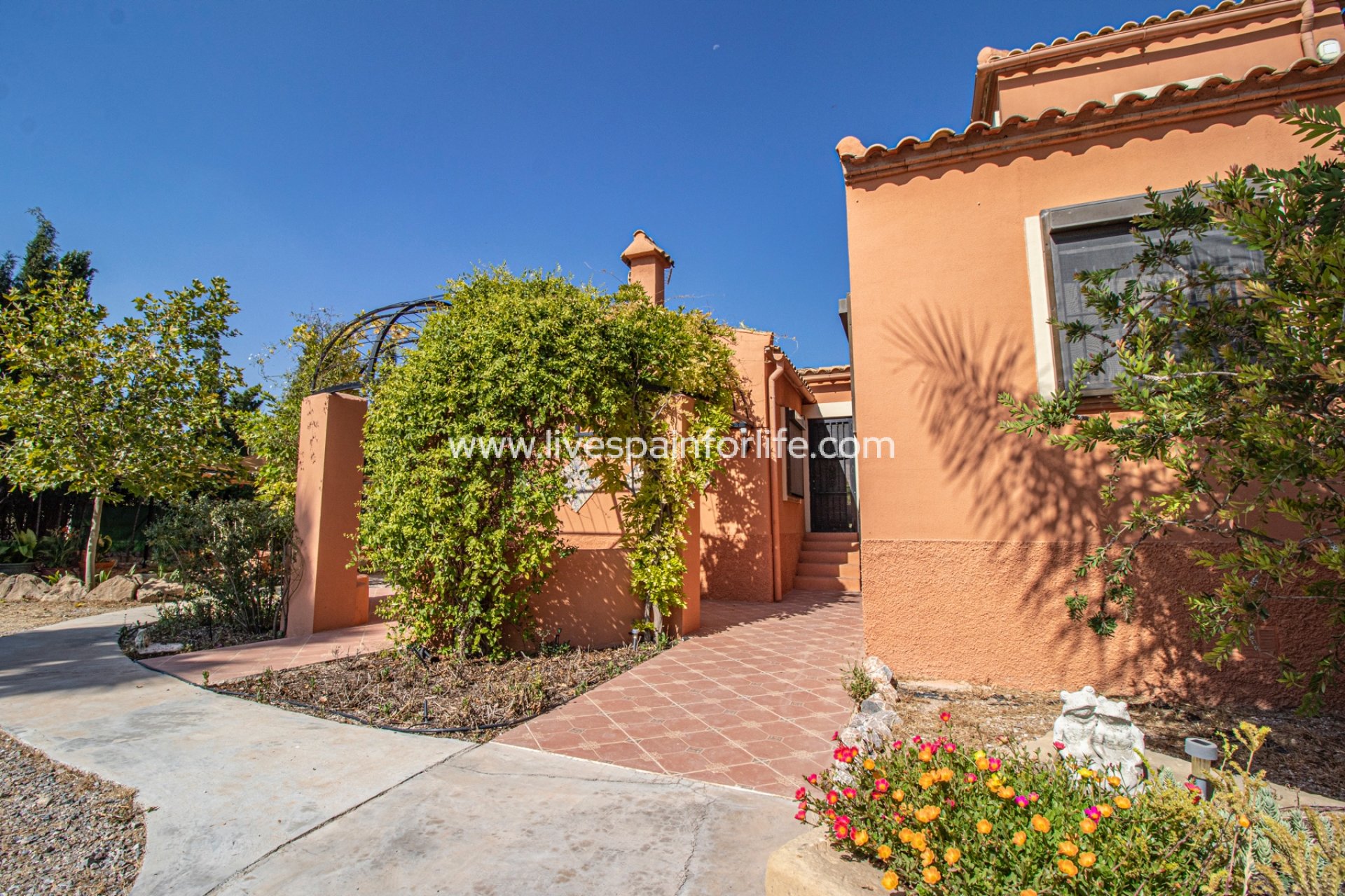 Resale - Country Property -
Catral