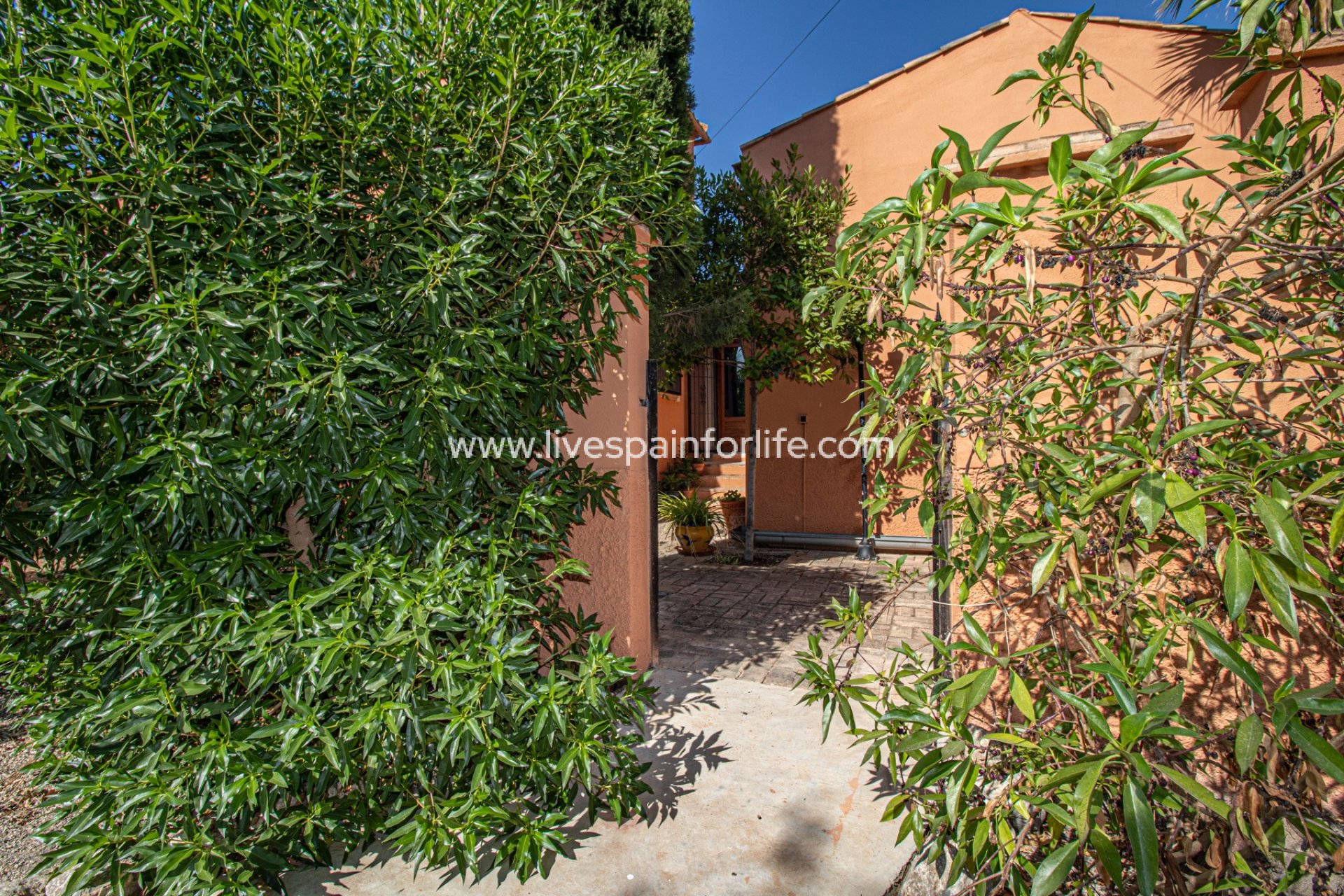 Resale - Country Property -
Catral