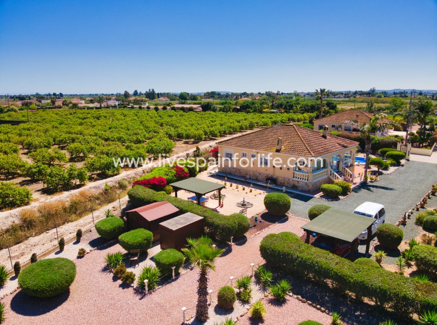 Resale - Country Property -
Catral
