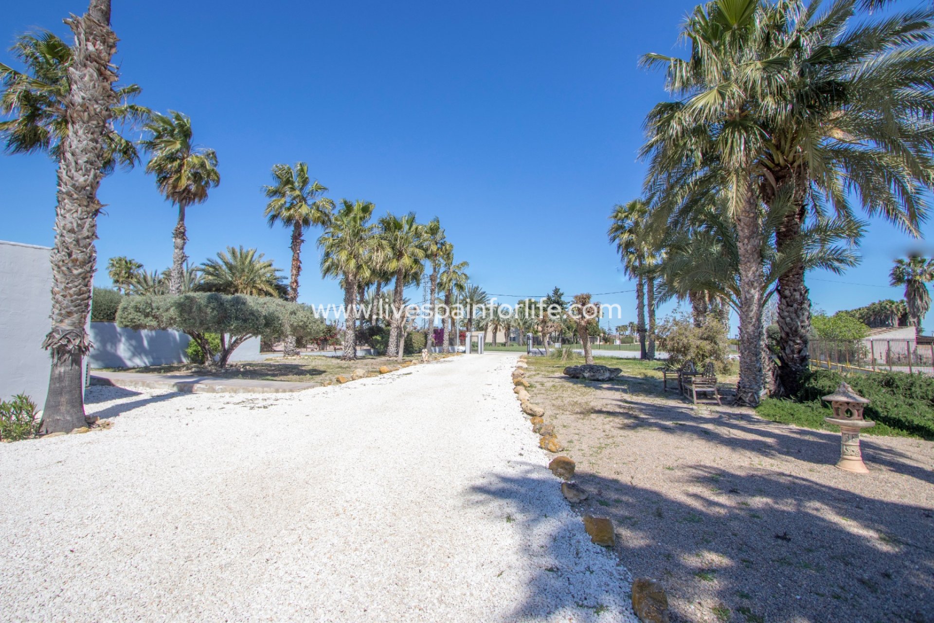 Resale - Country Property -
Catral