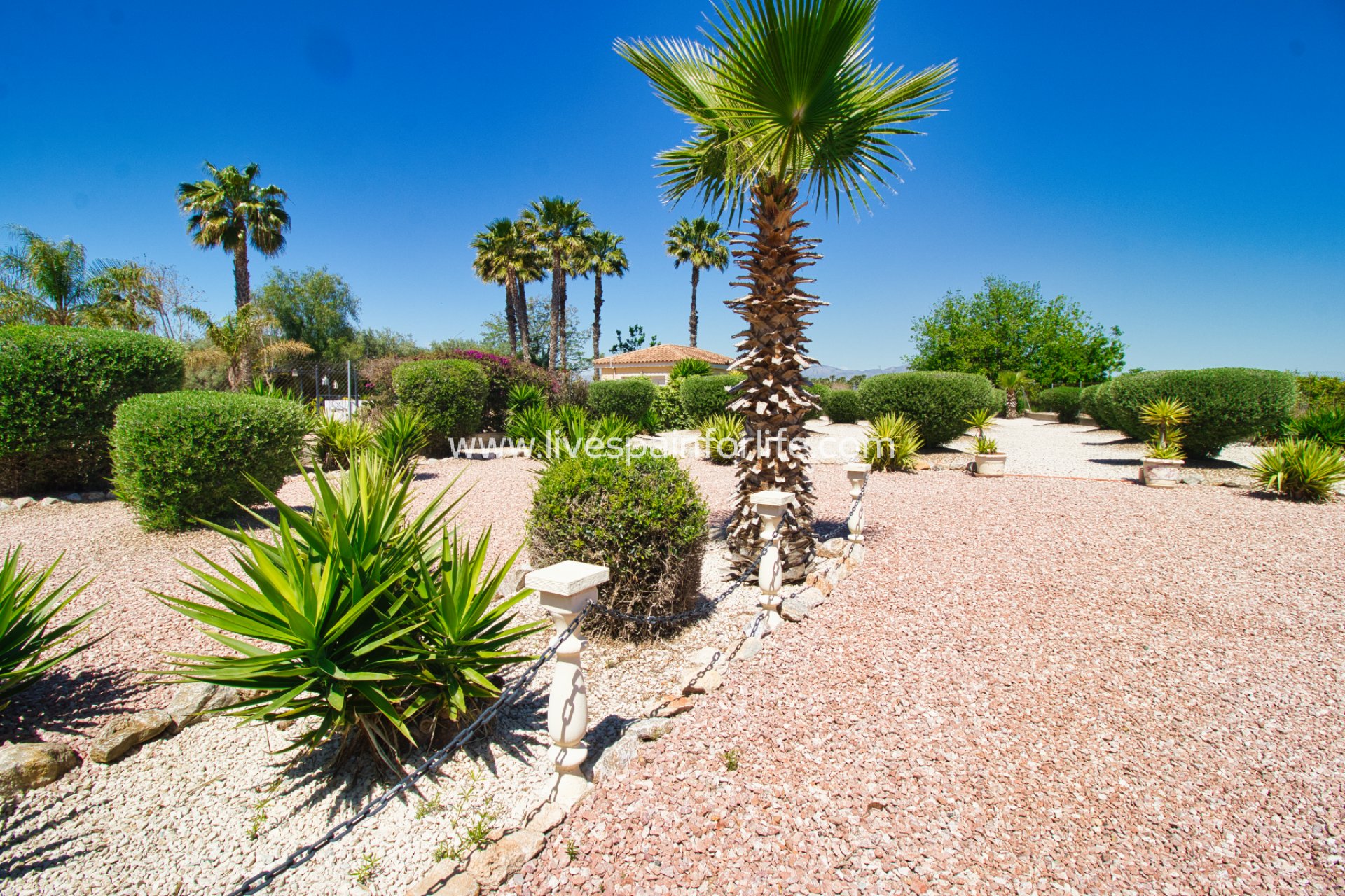 Resale - Country Property -
Catral