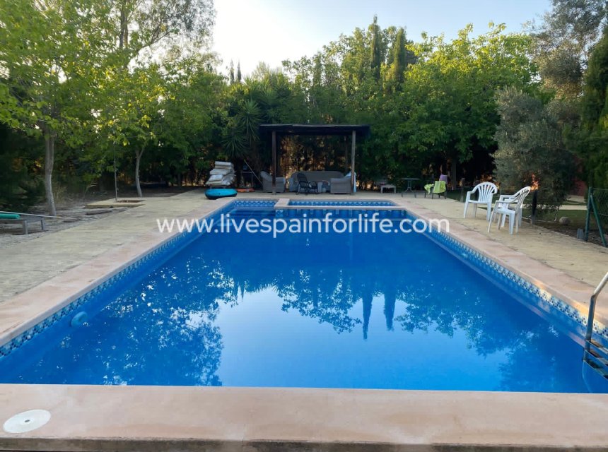 Resale - Country Property -
Catral